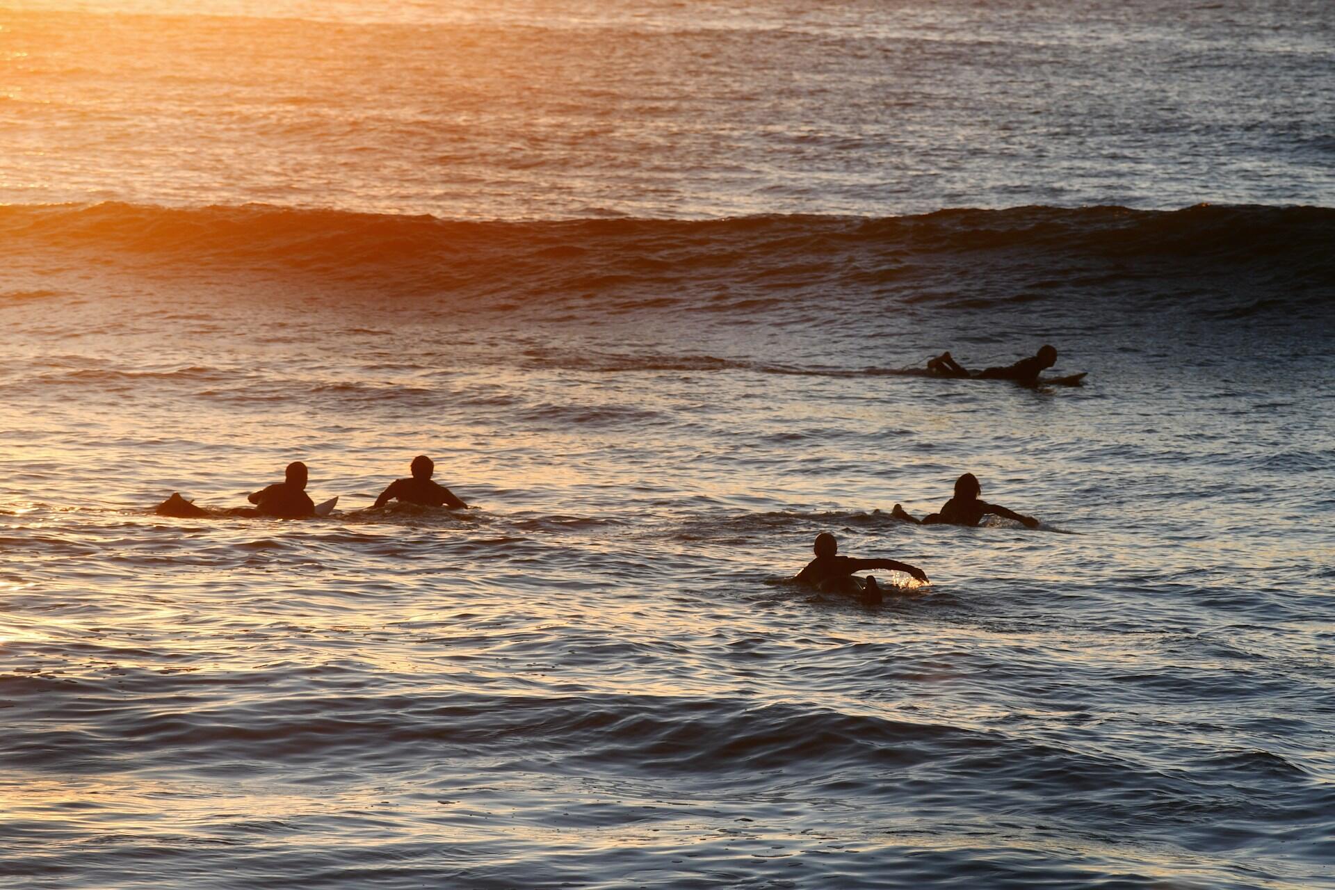 Surfers paddling.