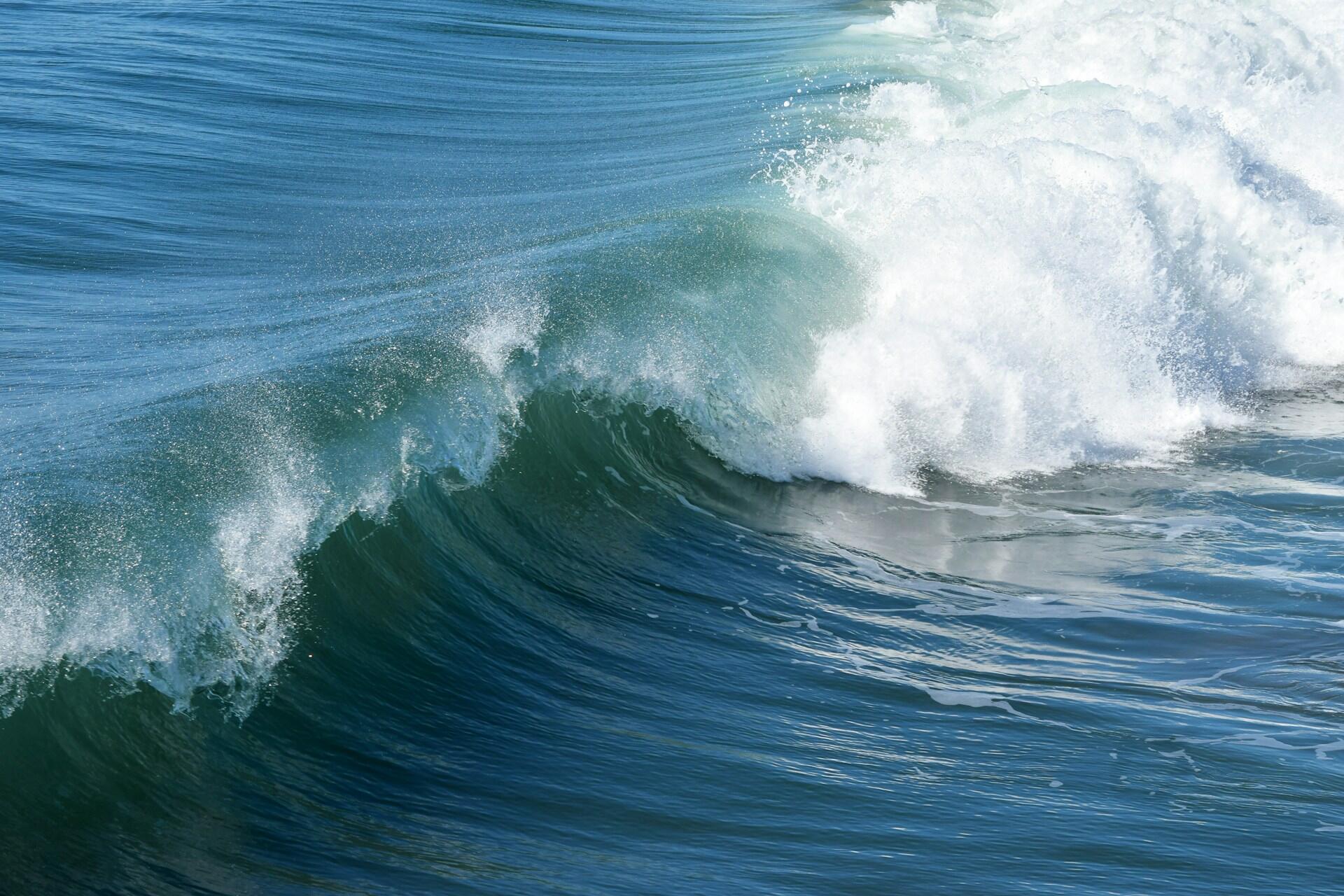 A large wave cresting.