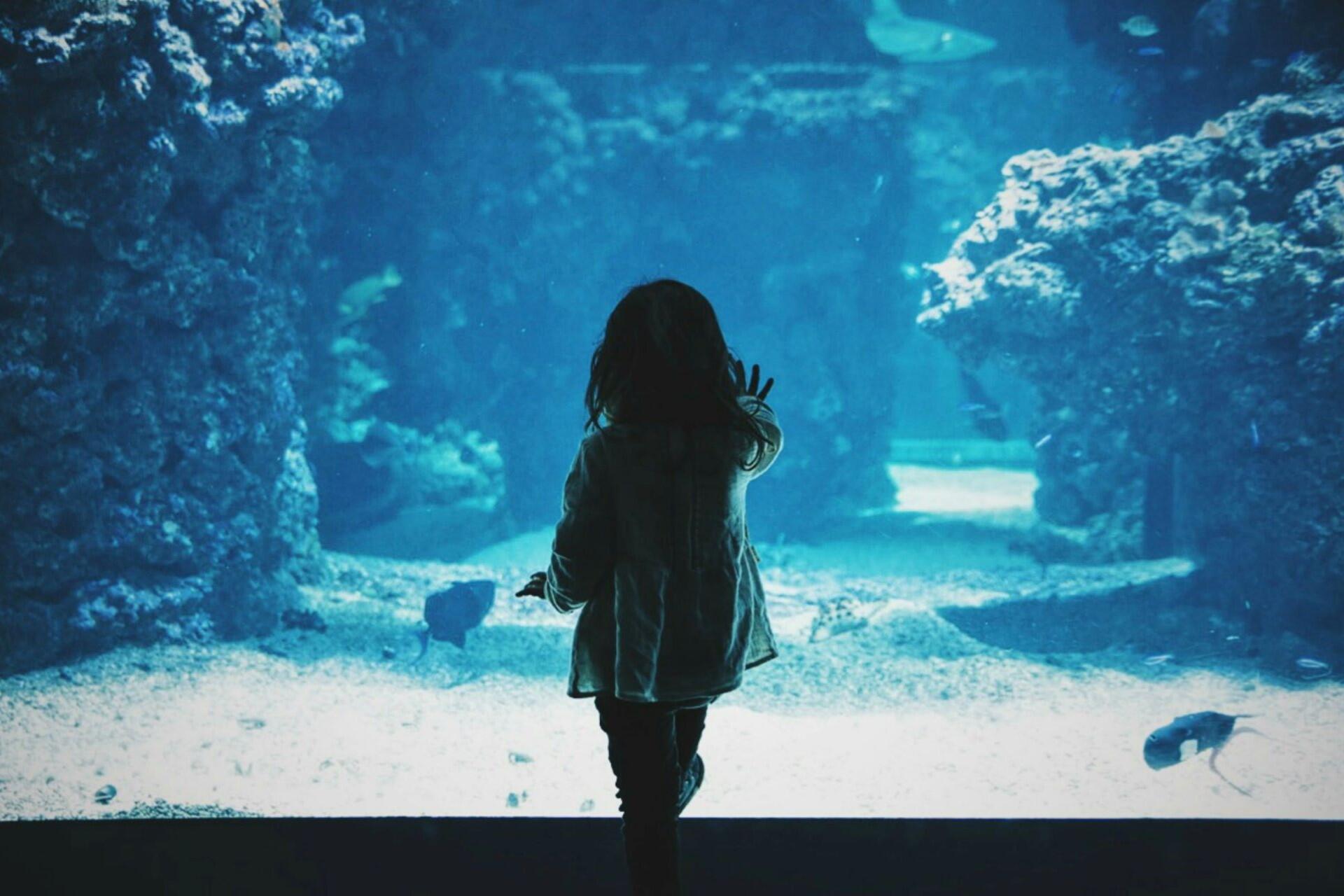 A child in an aquarium.