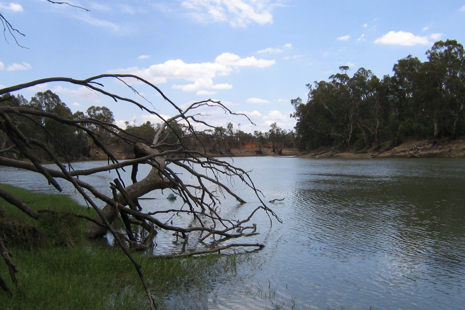 The Murray River.
