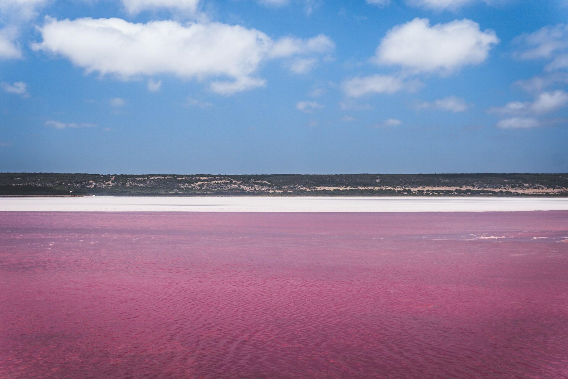 A pink lake in Australia.