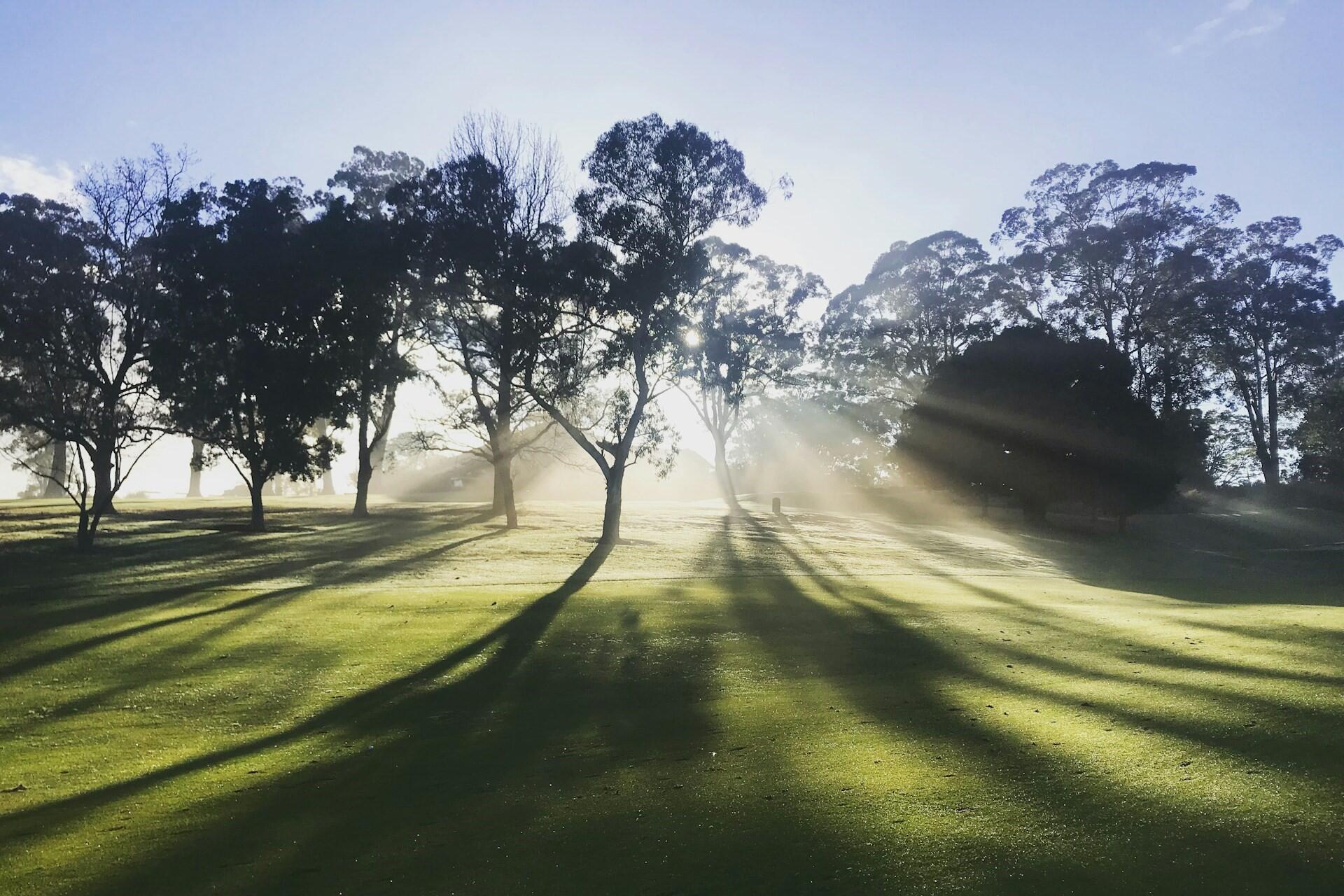 Pymble, NSW.
