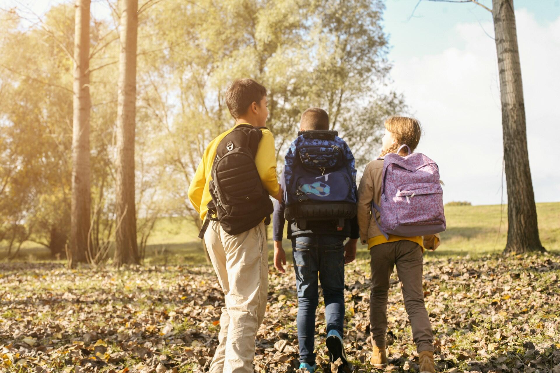 3 kids with backpacks walking in the forrest.
