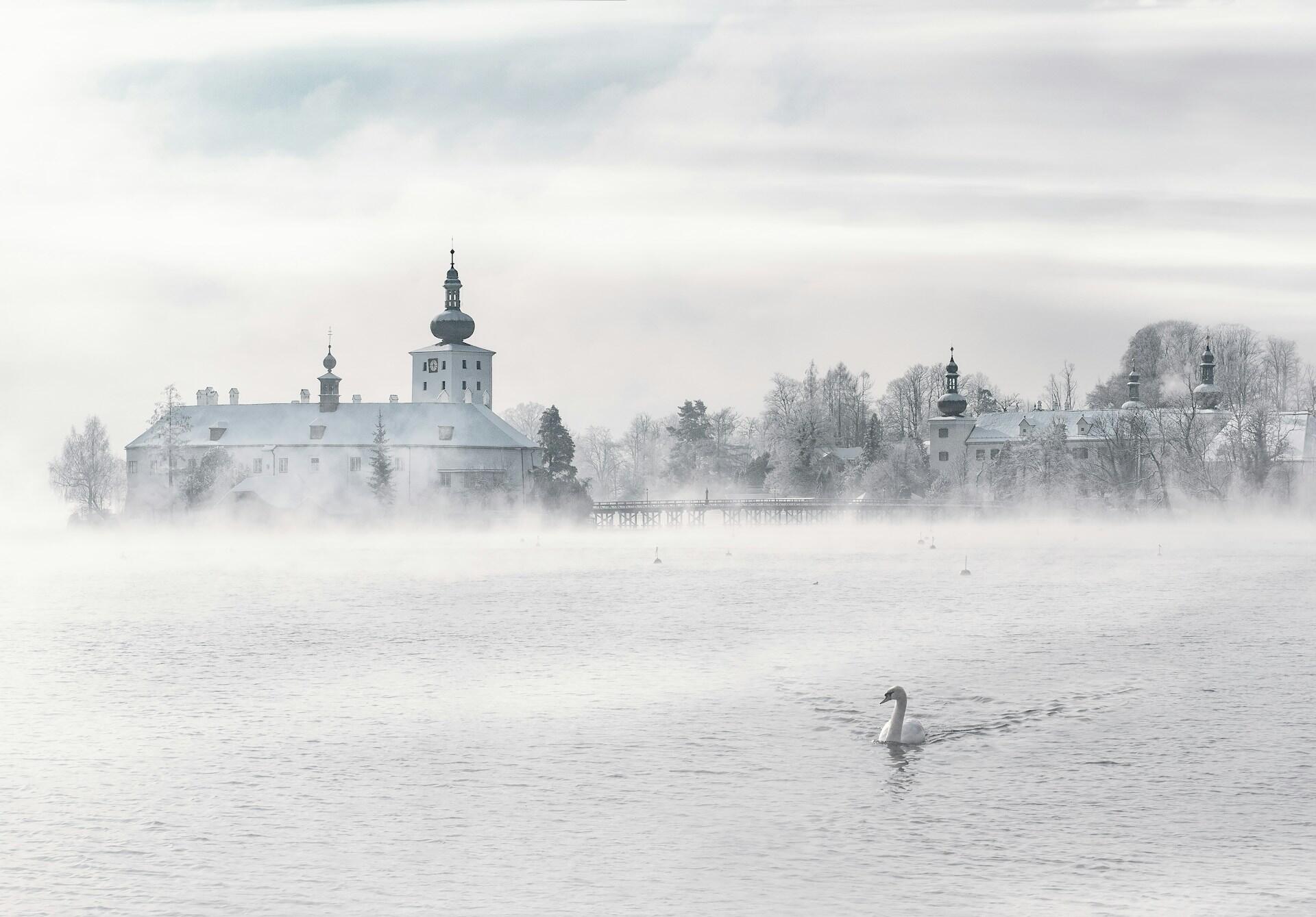 A serene winter scene featuring a misty lake, an elegant swan, and a castle with snow-covered roofs in the background.