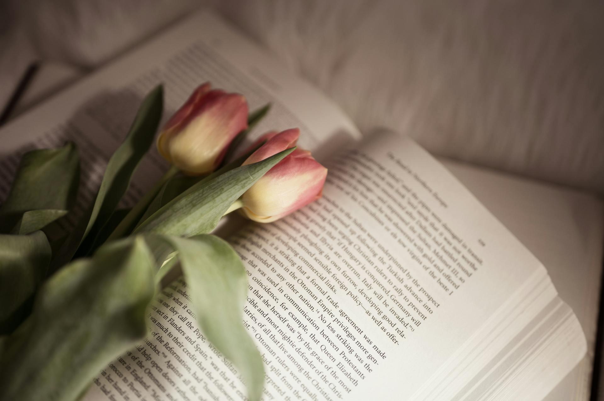 tulips on an open book
