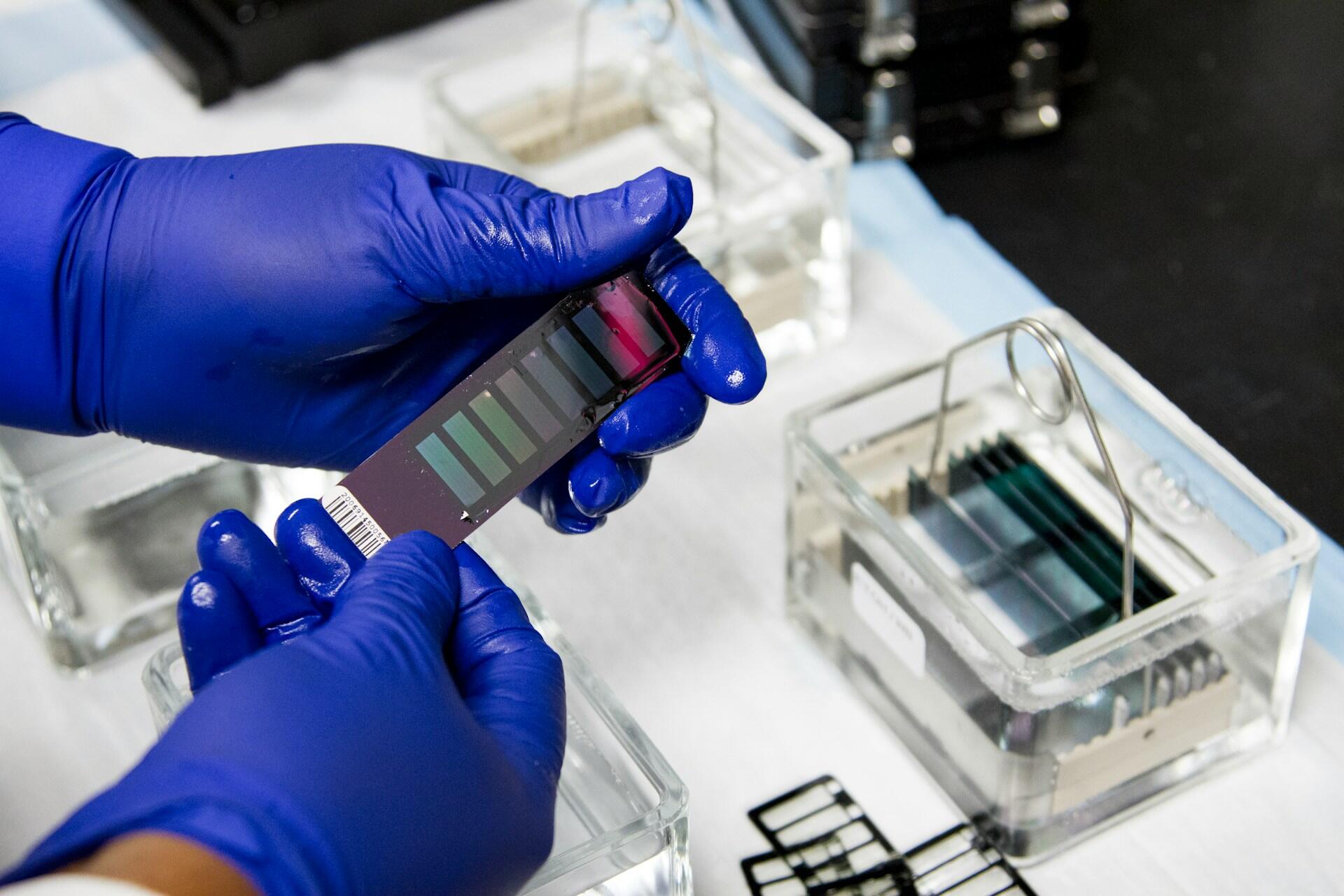 Hands in blue gloves holding a gel electrophoresis DNA test strip above a lab table with gel boxes and equipment.