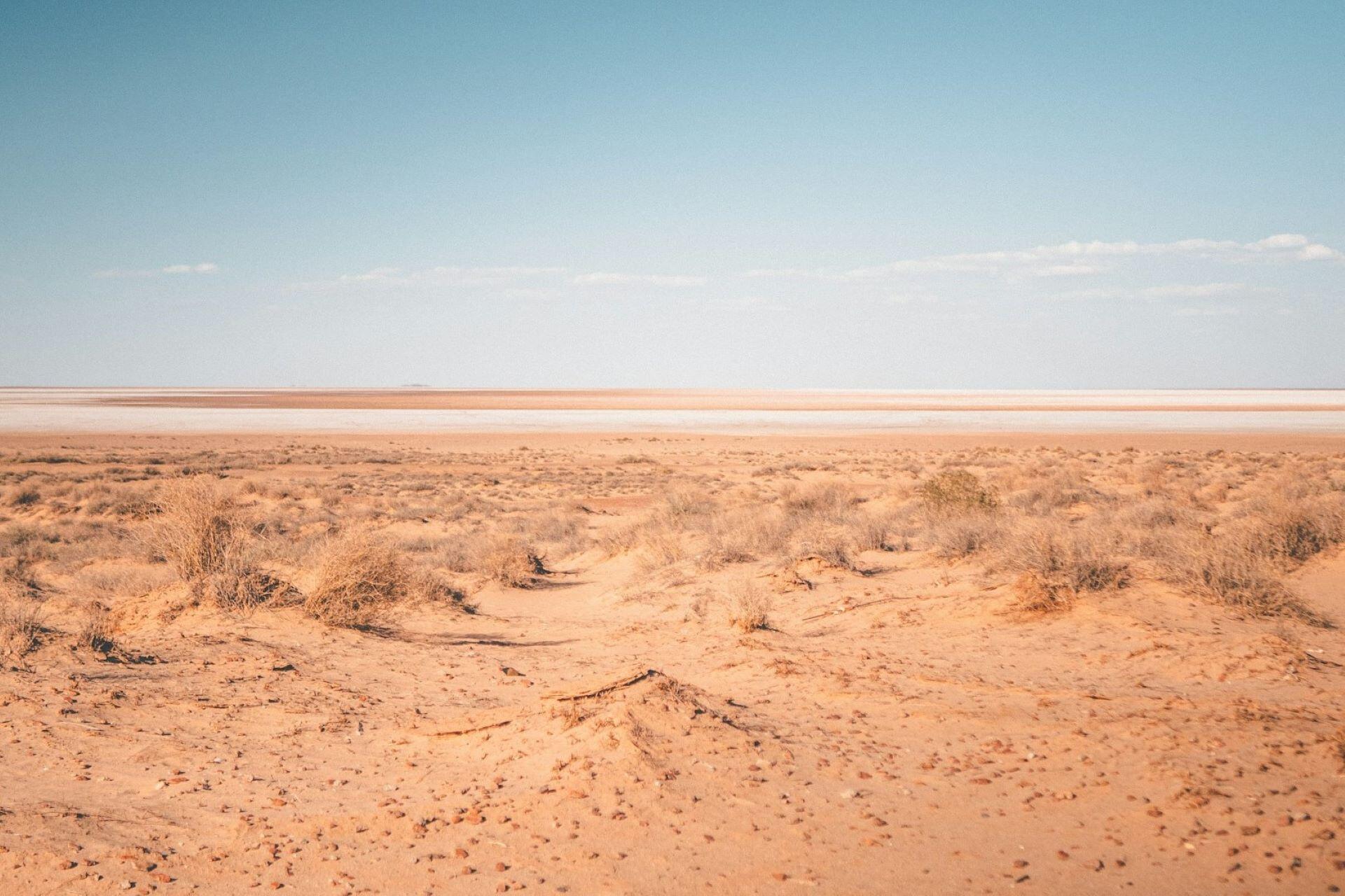 Sandy desert plain with dry scrub, pale salt flats, and a blue sky