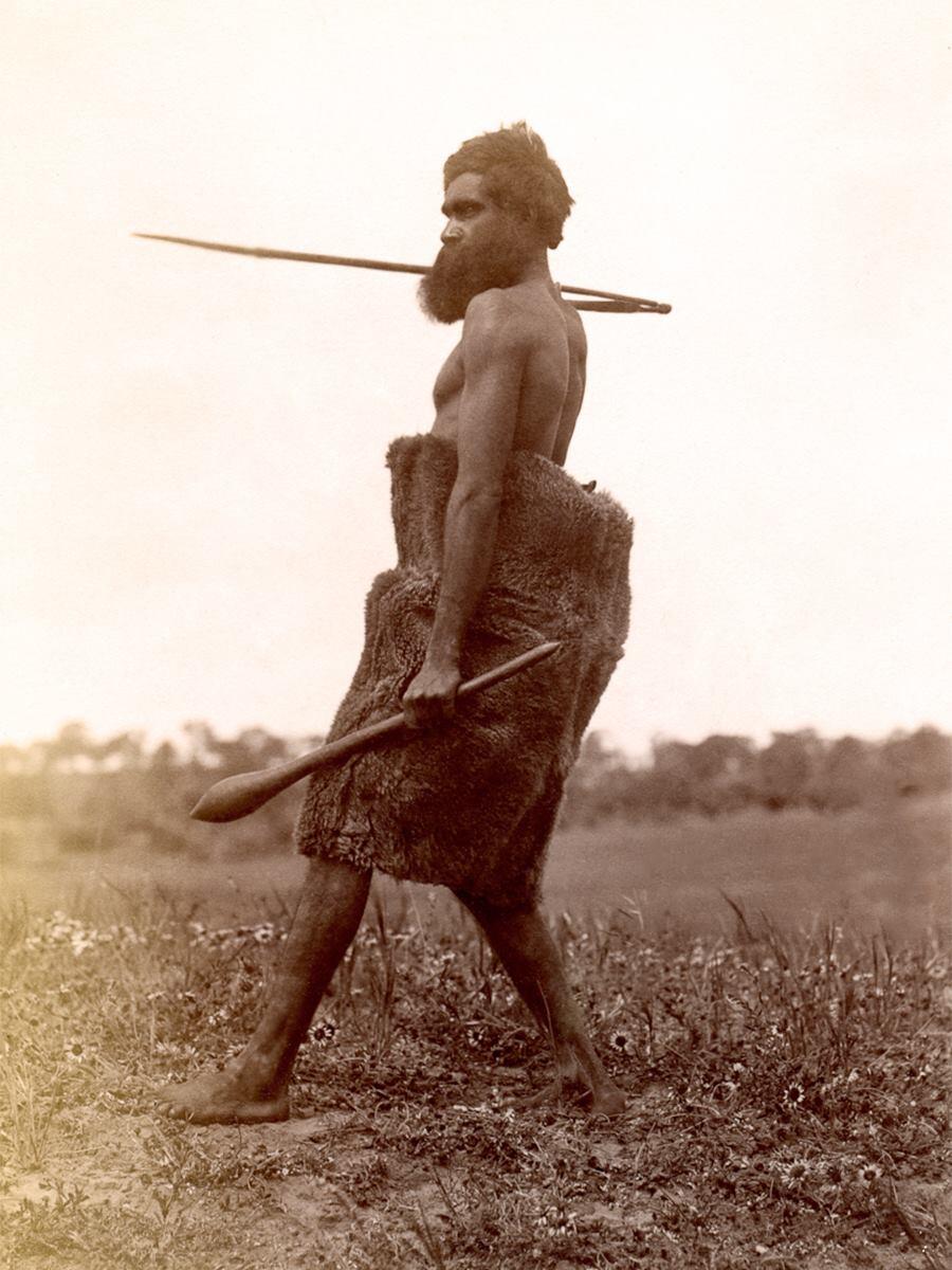 sepia photo of Aboriginal man holding a spear with spear thrower and a club