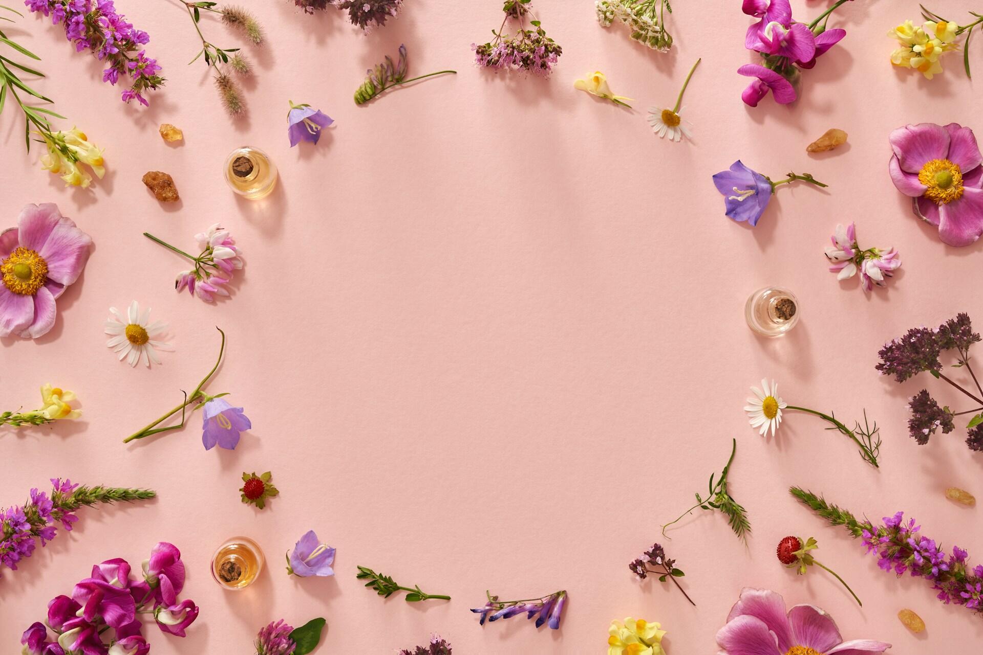 Assorted colorful flowers and small bottles arranged in a circle.