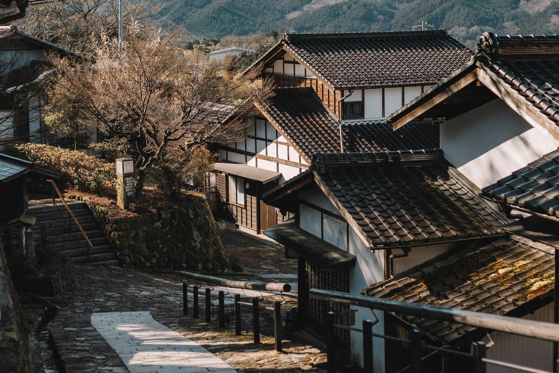 A rural setting featuring traditional Japanese architecture with white panels and wooden beams, next to a winter-bare tree.