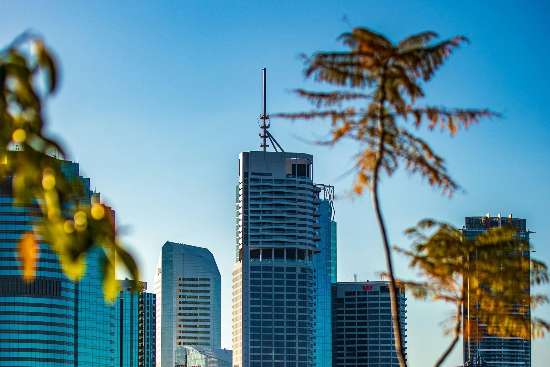 Brisbane city showing everyday Australian urban life