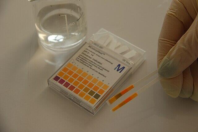 Lakmus papir mijenja boju prema pH vrijednosti uzorka vode