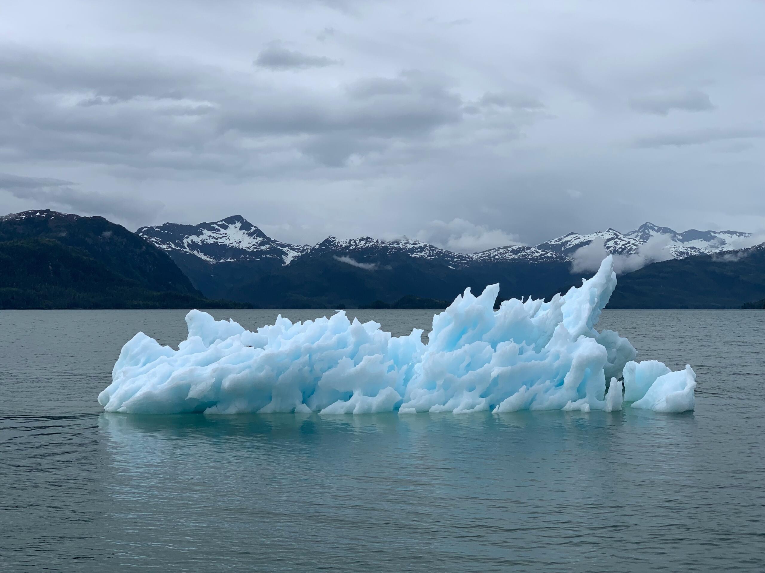 Fotografija glečera u moru kao primjer objekta proučavanja fizičke geografije i klimatskih promjena.