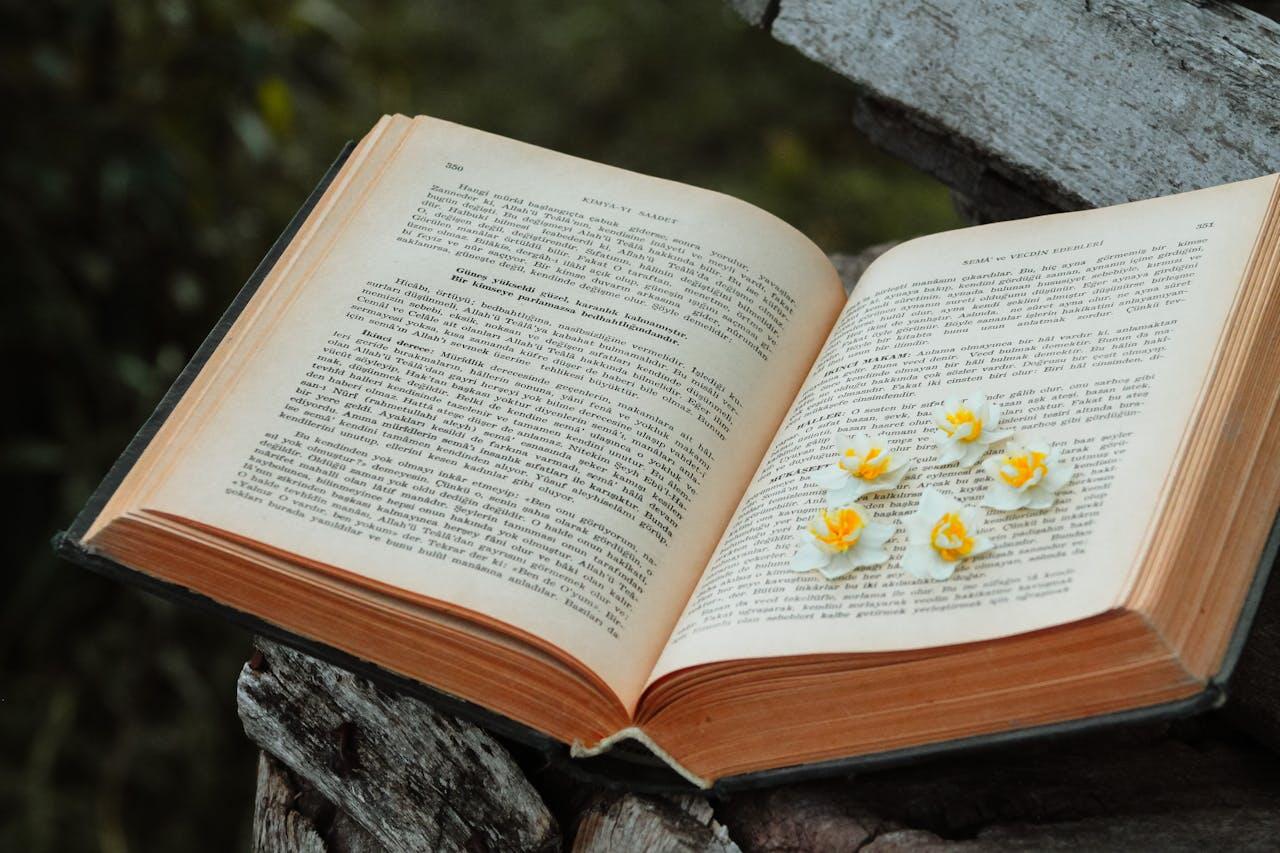 livre ouvert dans les bois avec des fleurs dessus
