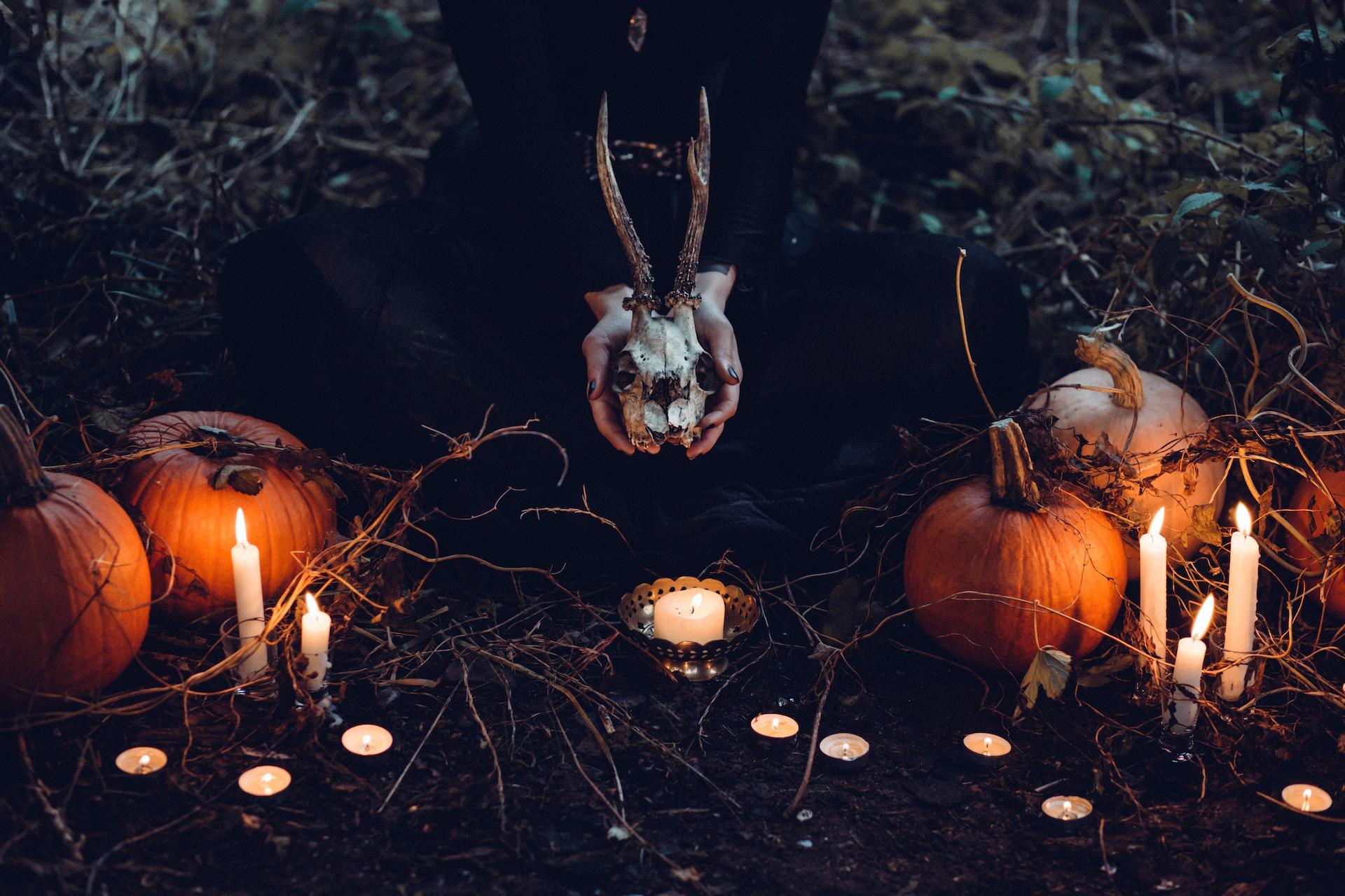citrouilles et thème halloween