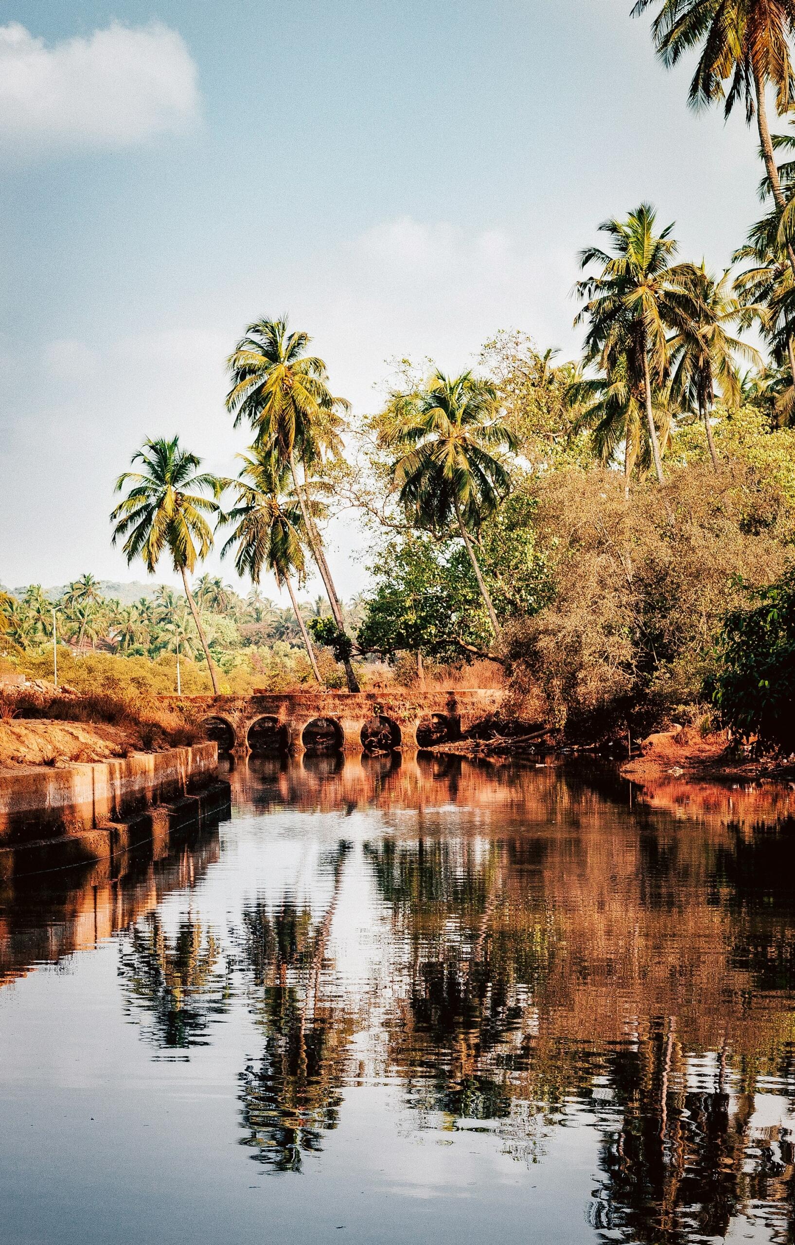 Inde paysage