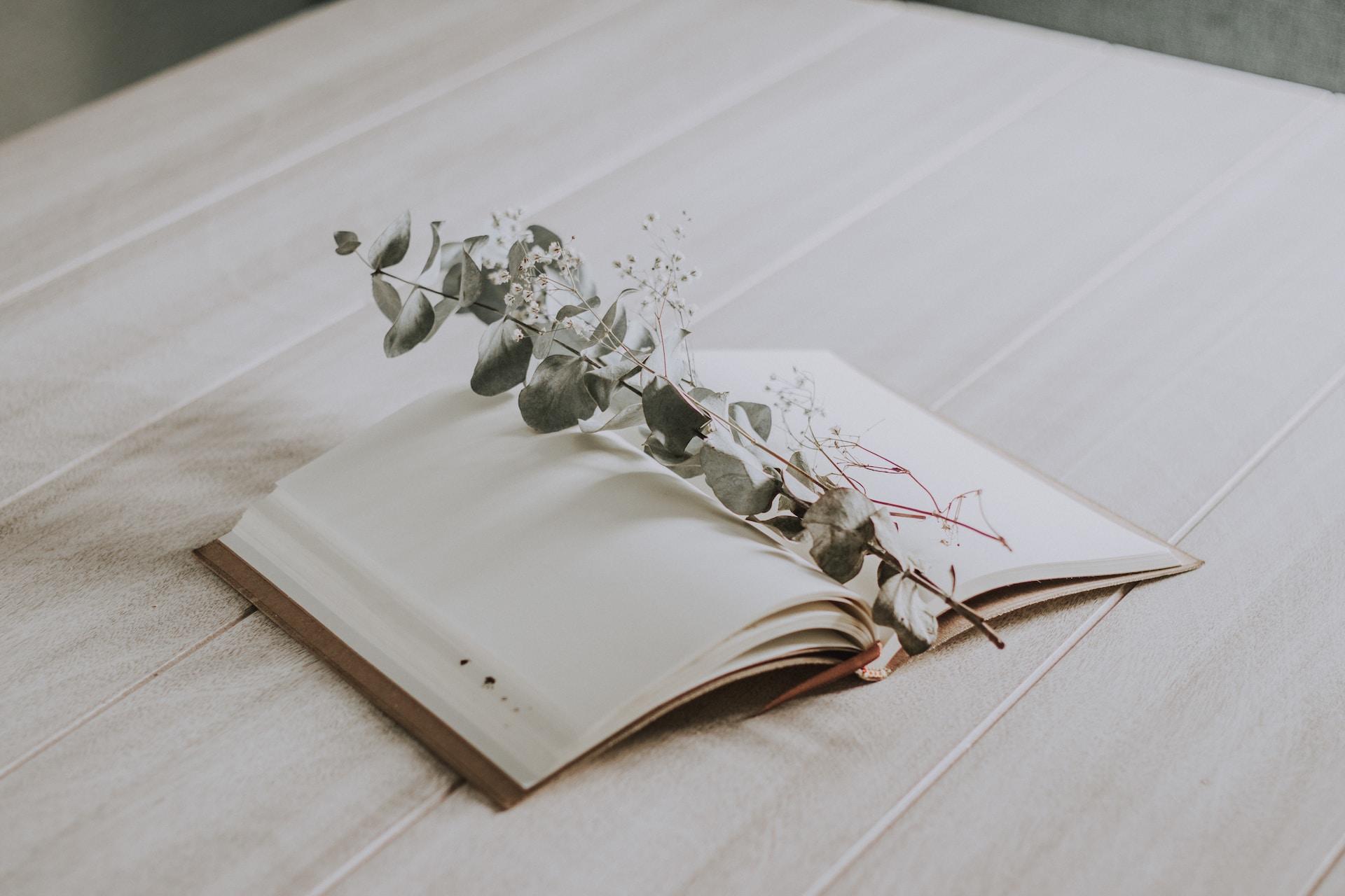 journal intime avec branche de feuilles