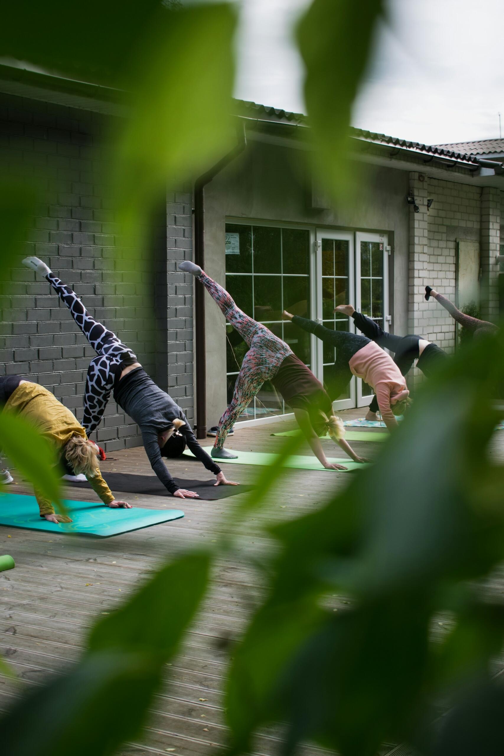 vinyasa yoga