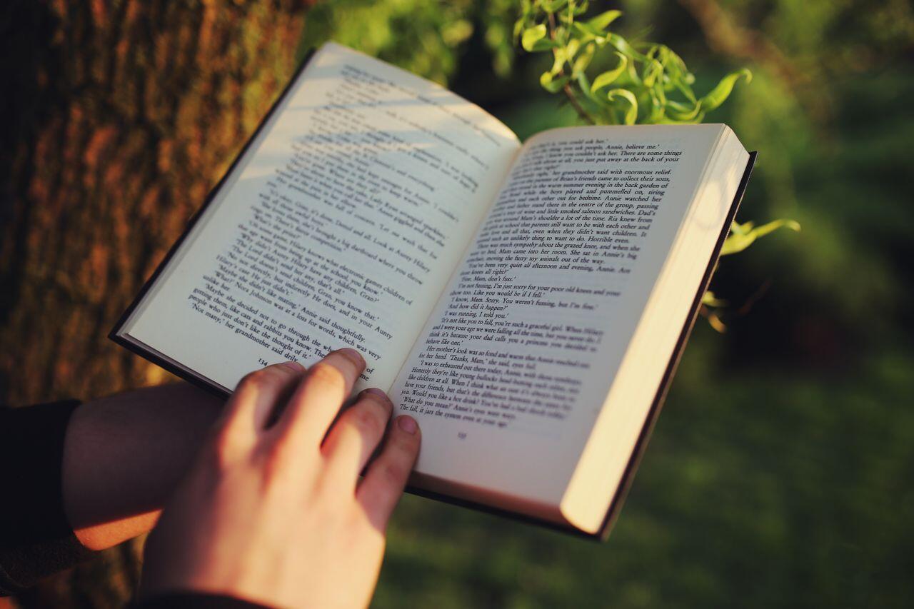 main posee sur un livre dans la foret