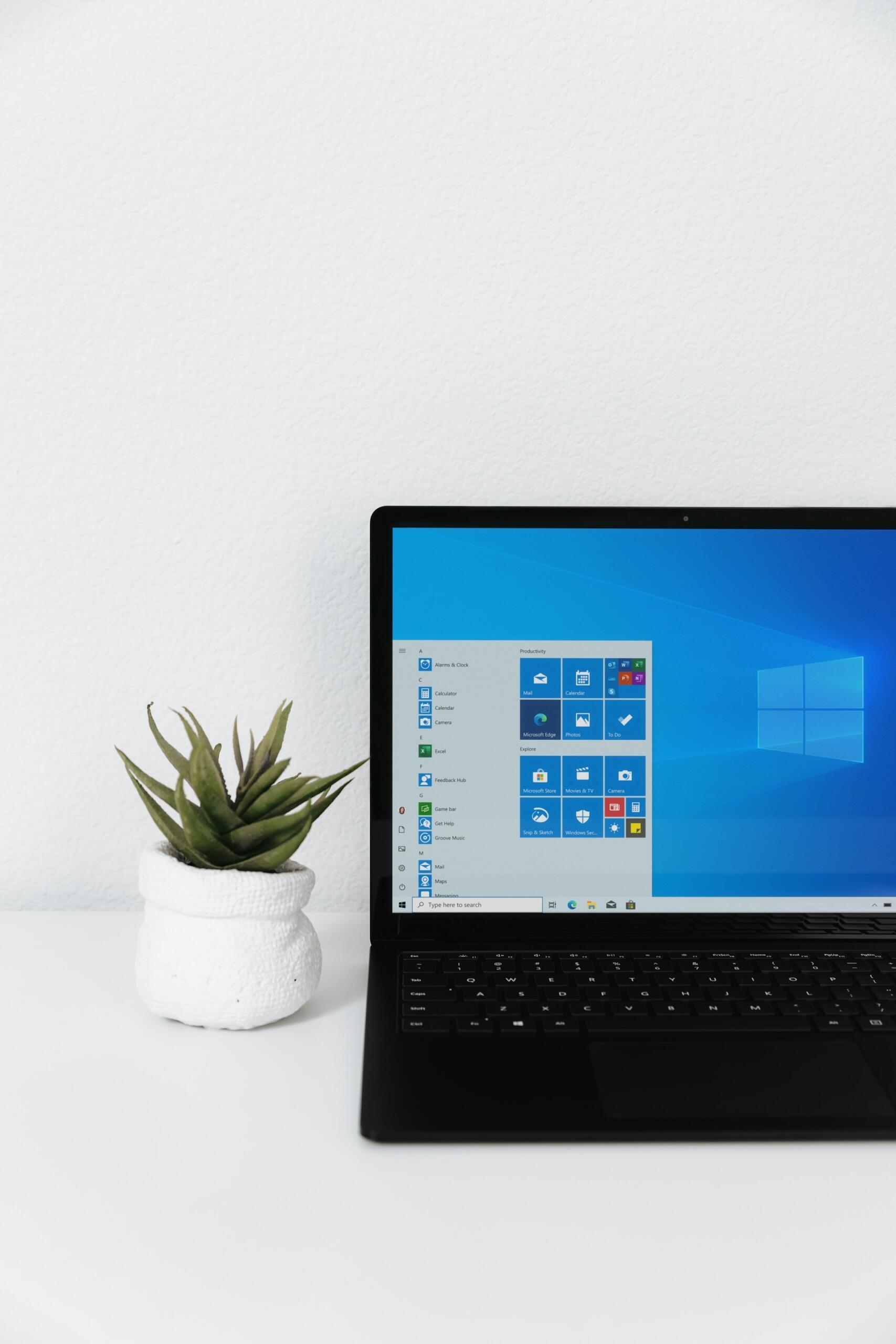plante windows