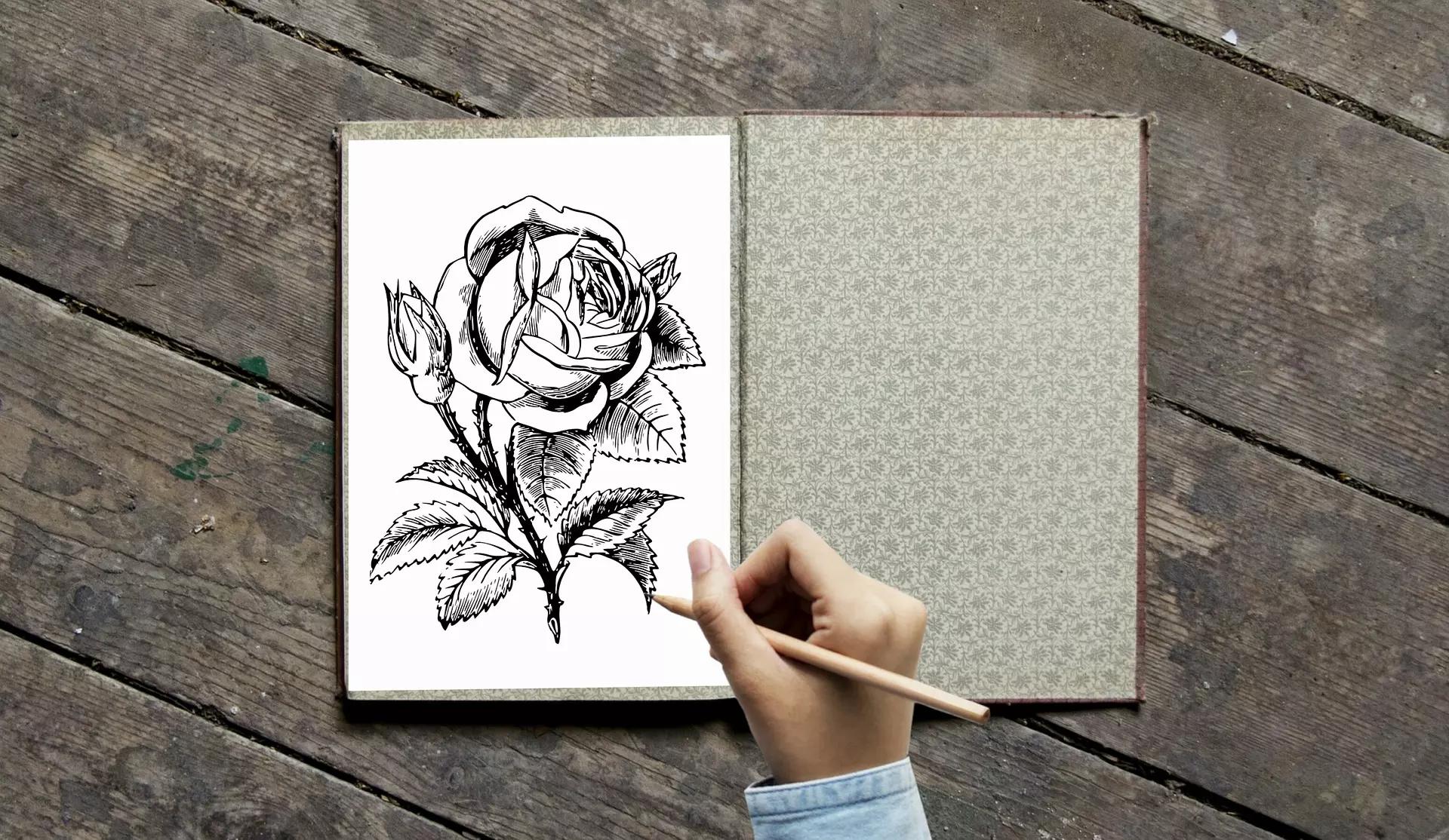 Comment dessiner une rose ?