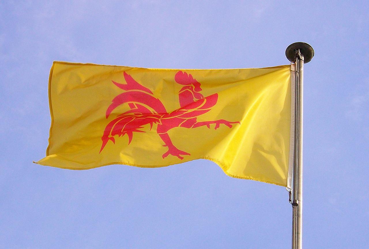 Le drapeau wallon fait la fièreté des habitants