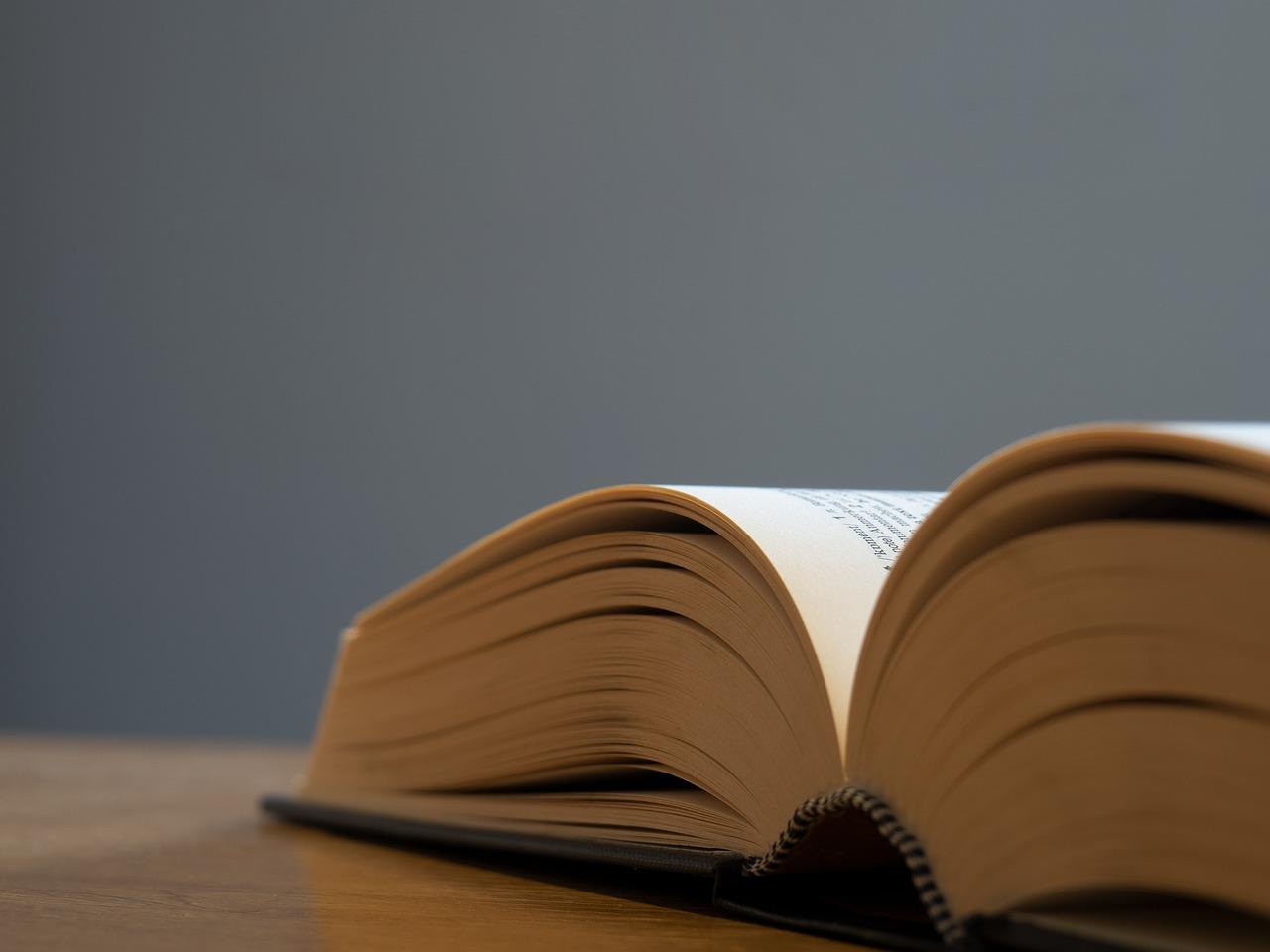 Combien de pages dans ce dictionnaire français/néerlandais ?