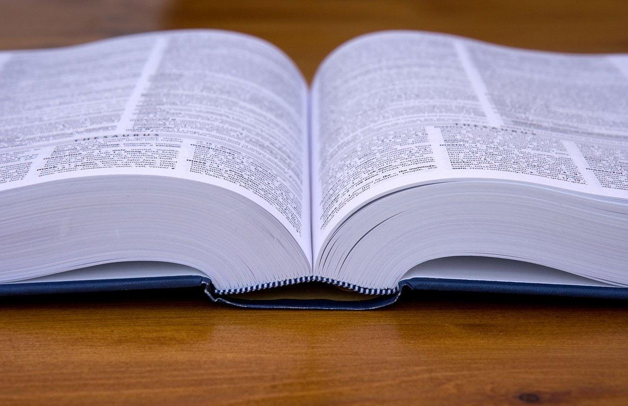 Combien de pages dans ce dictionnaire ?
