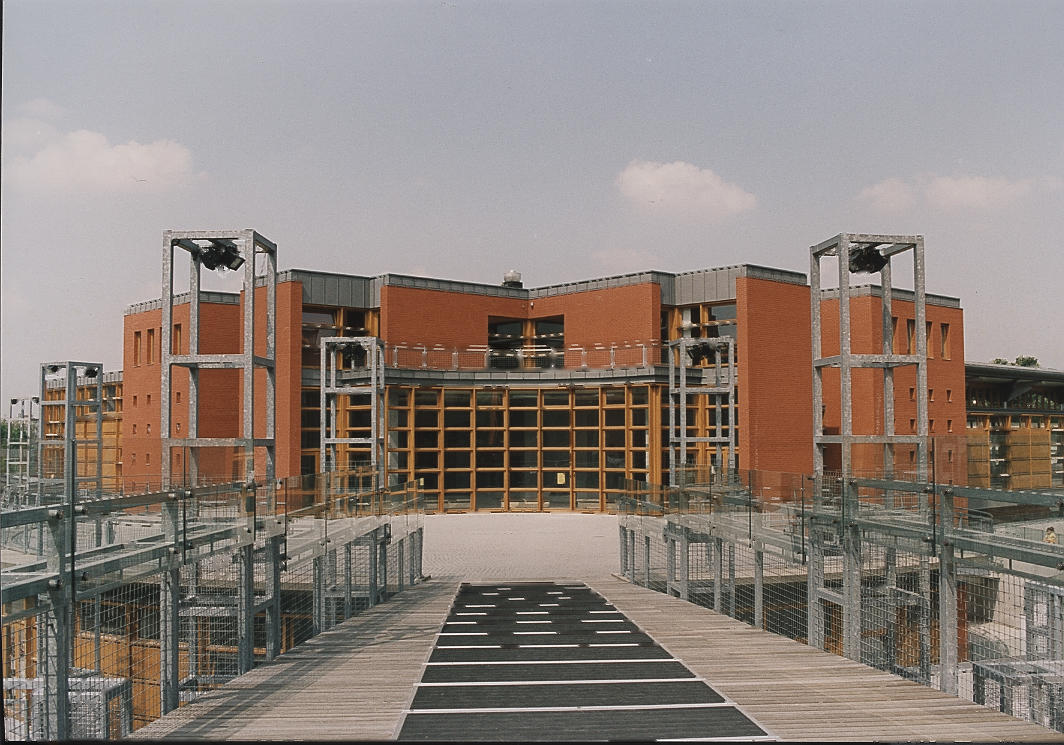 Le néerlandais en immersion linguistique à Bruxelles