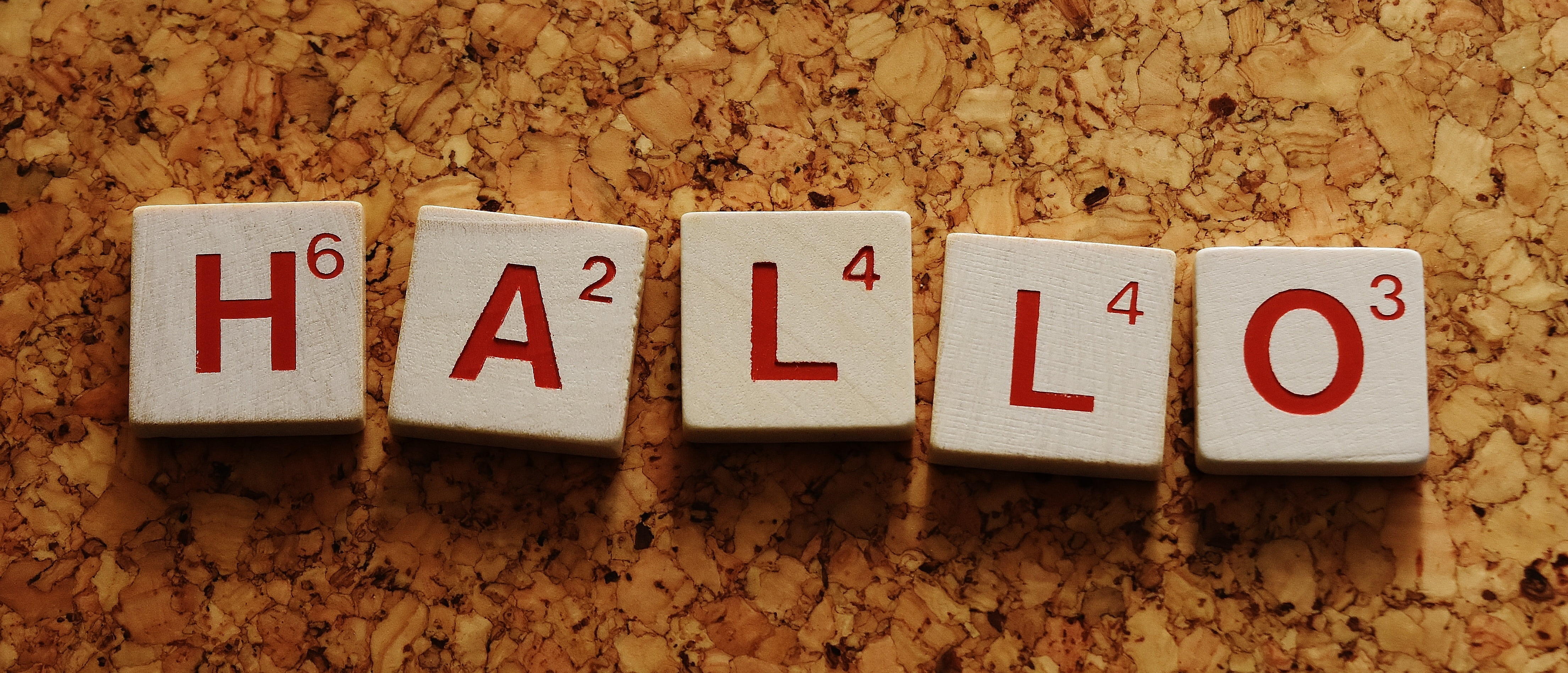 Comment dire bonjour en néerlandais ?