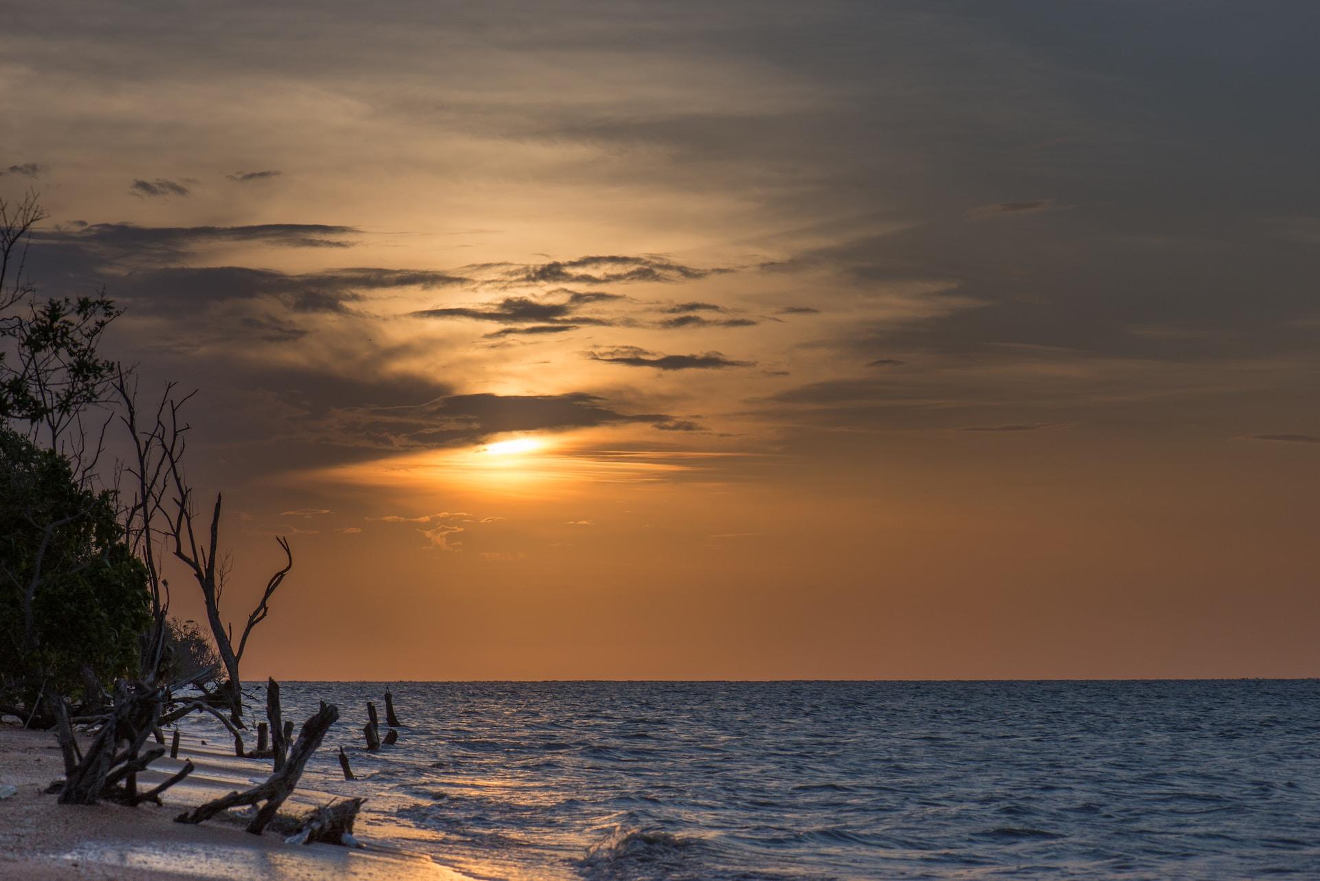 plage du Suriname avec soleil couchant
