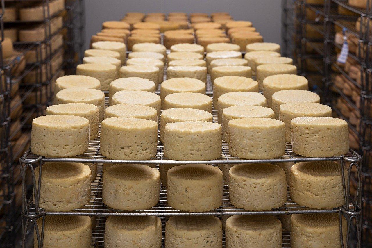 Les fromages wallons