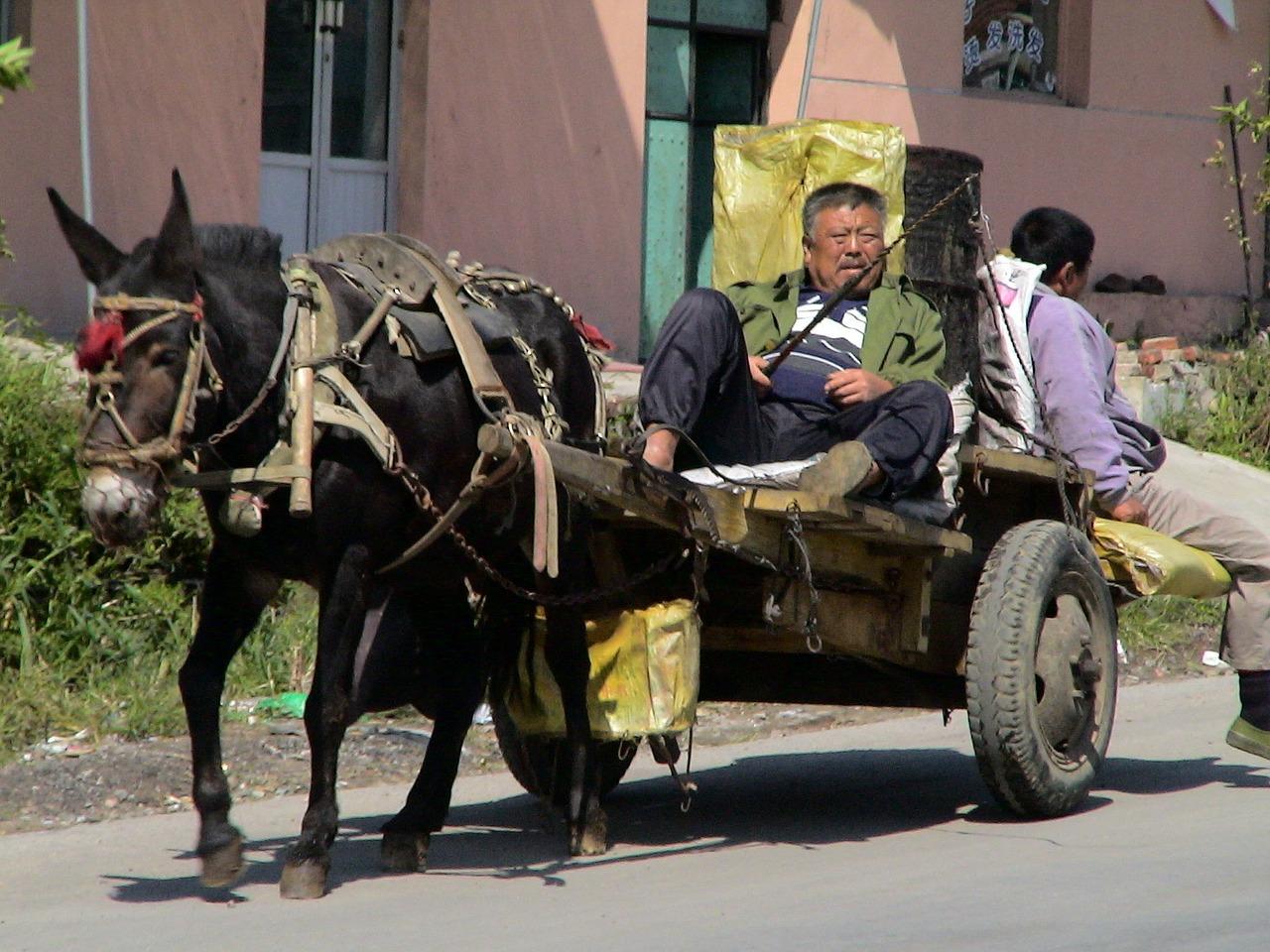 Migration des populations