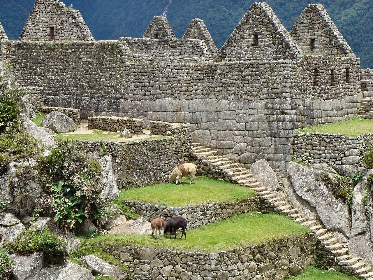 Les incas dans les Andes