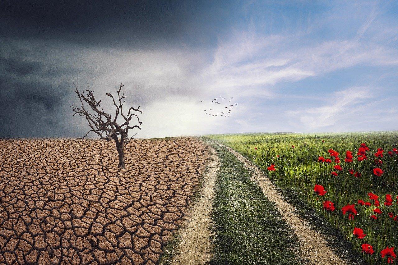 Les différentes condition climatiques