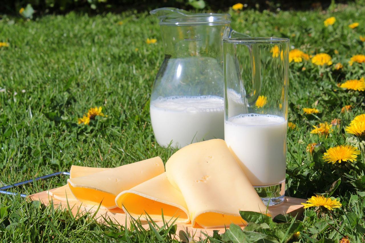 Les produits laitiers sont indispensables