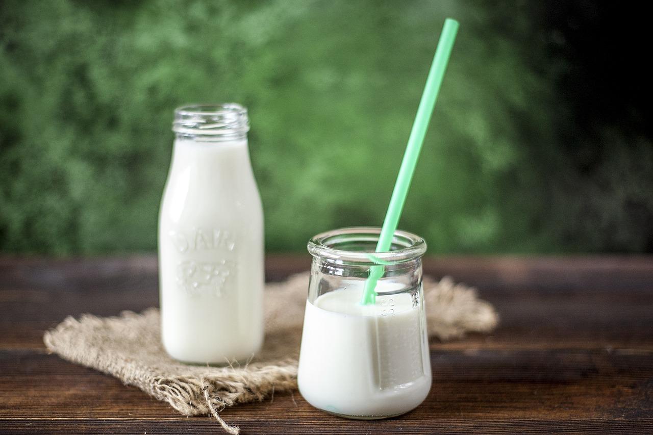 Les probiotiques des produits laitiers fermentés