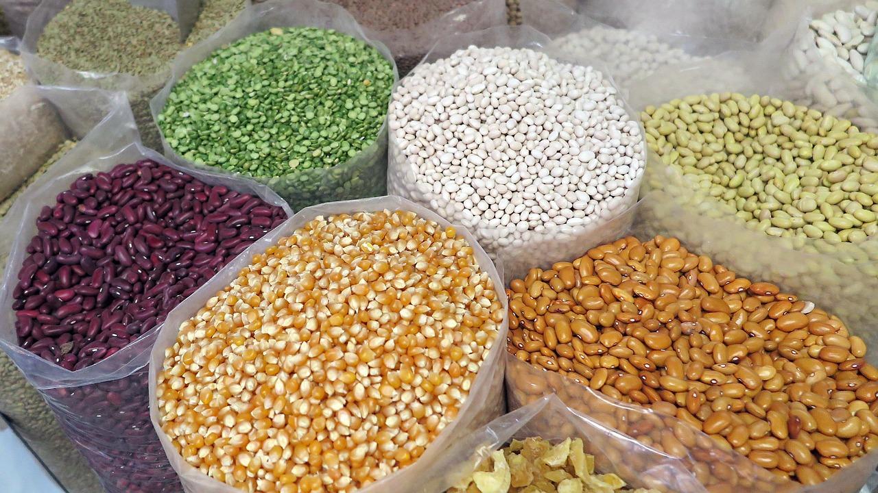Les haricots sont recommandés dans les régimes sans gluten