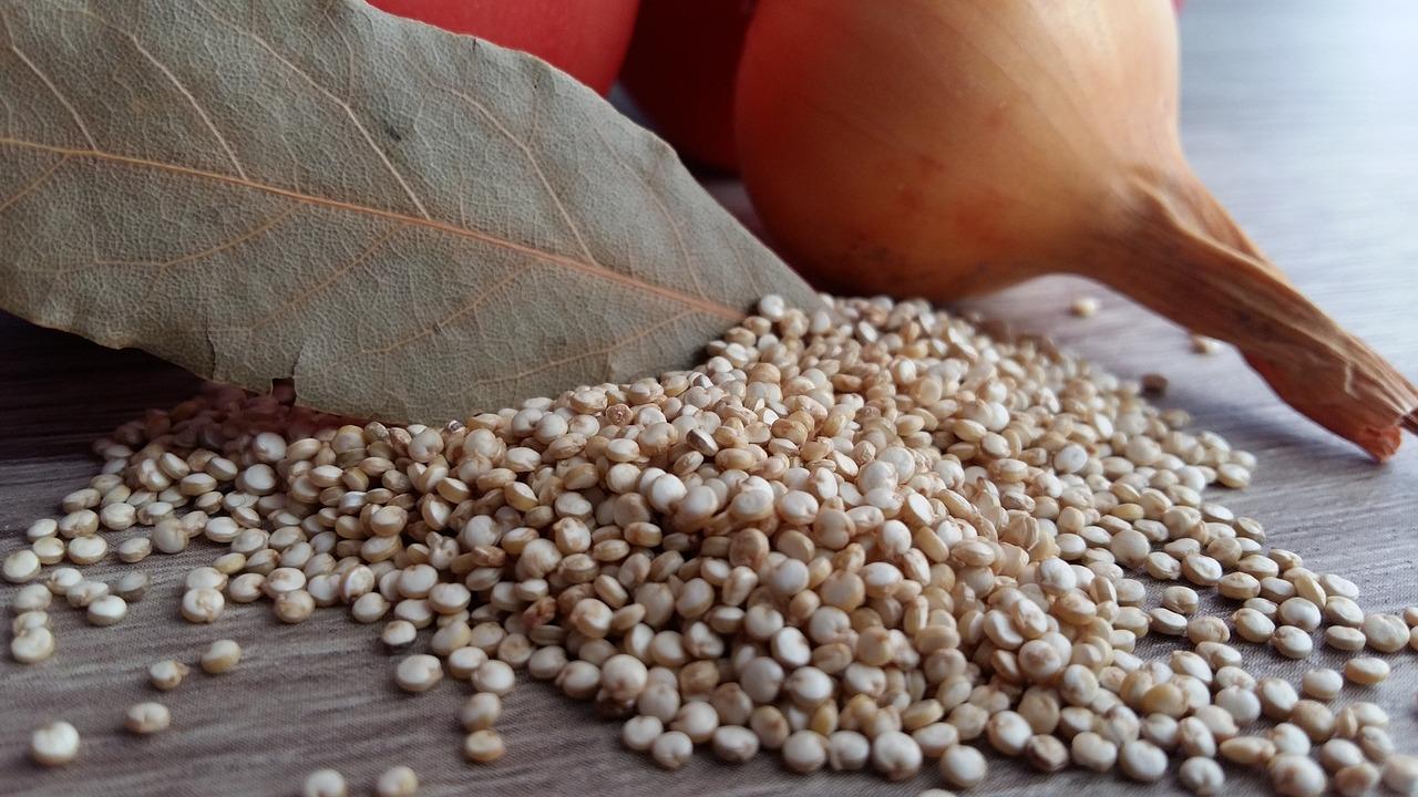 Le quinoa est une céréale naturellement sans gluten