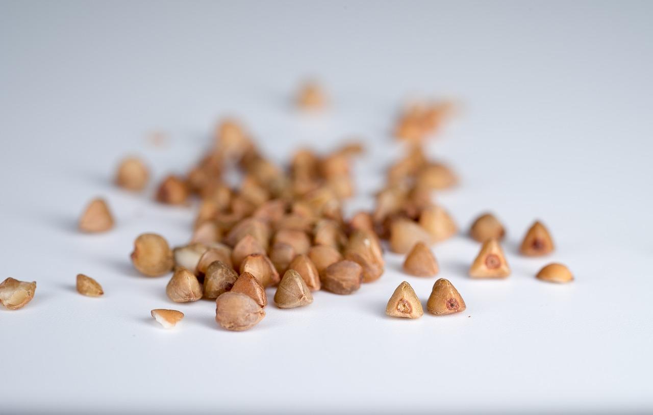 Le sarrasin est une céréale gluten-free