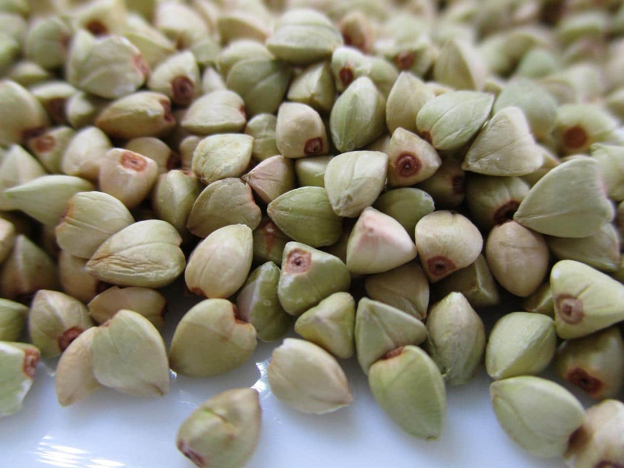 Le sarrasin est une céréale gluten free