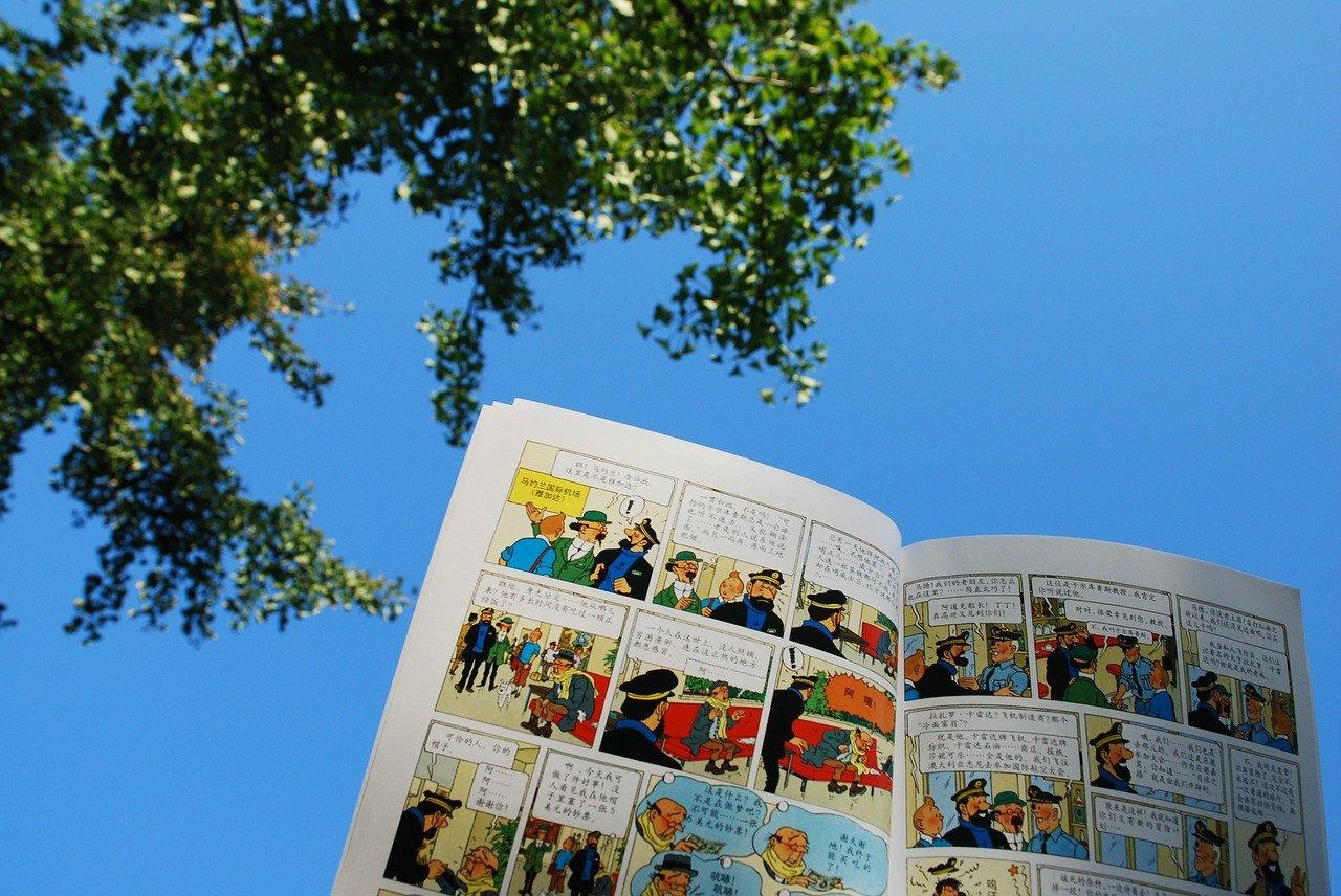 Les aventures de Tintin et Milou