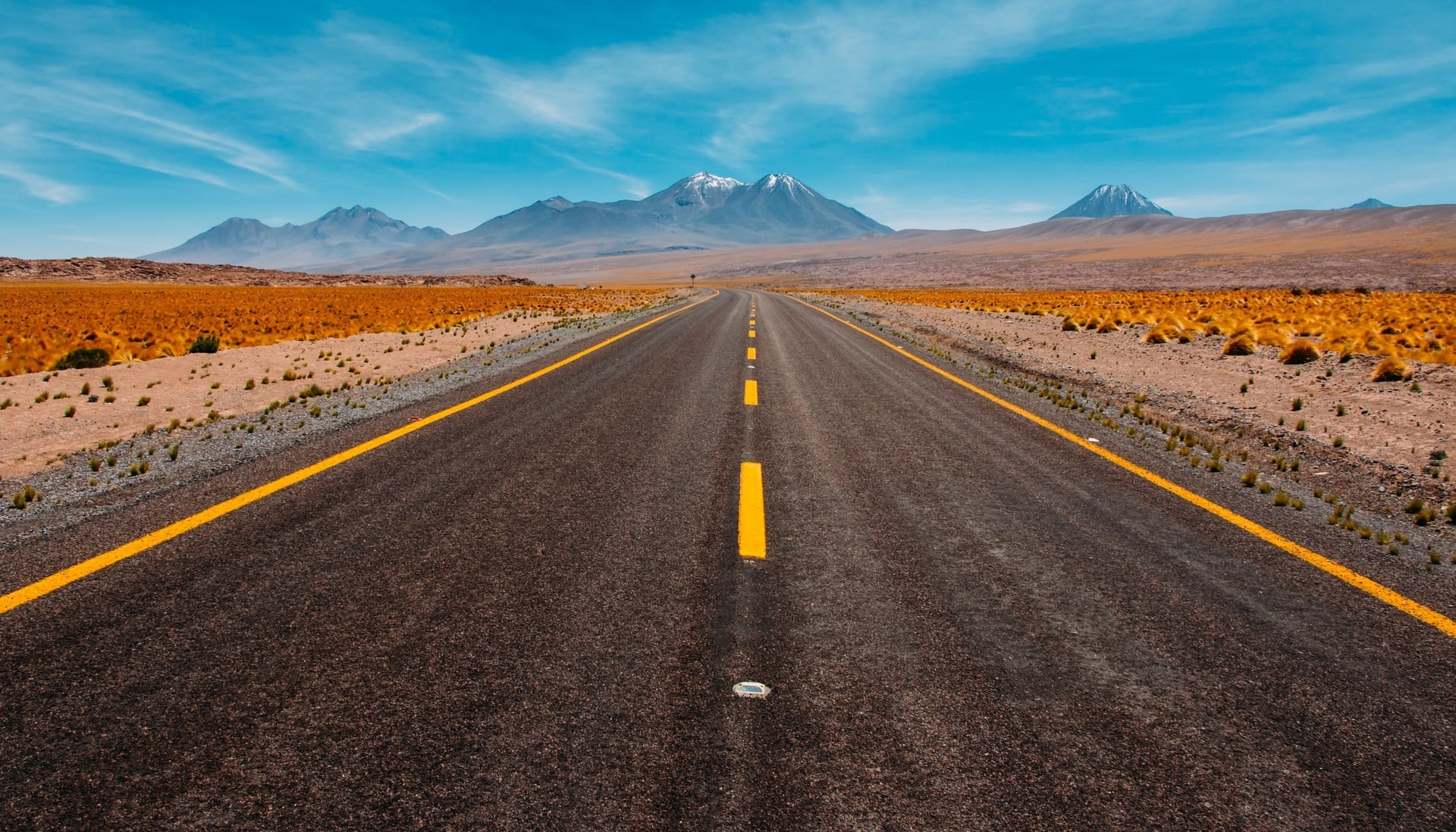 paysage aride