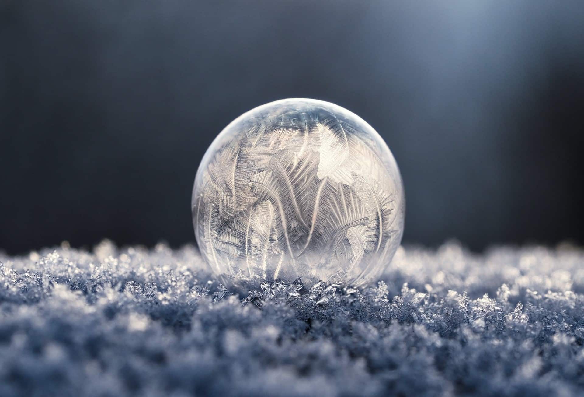 bulle sur sol neigeux