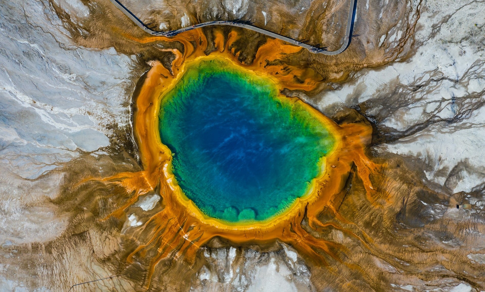 geyser dans le parc du yellowstone