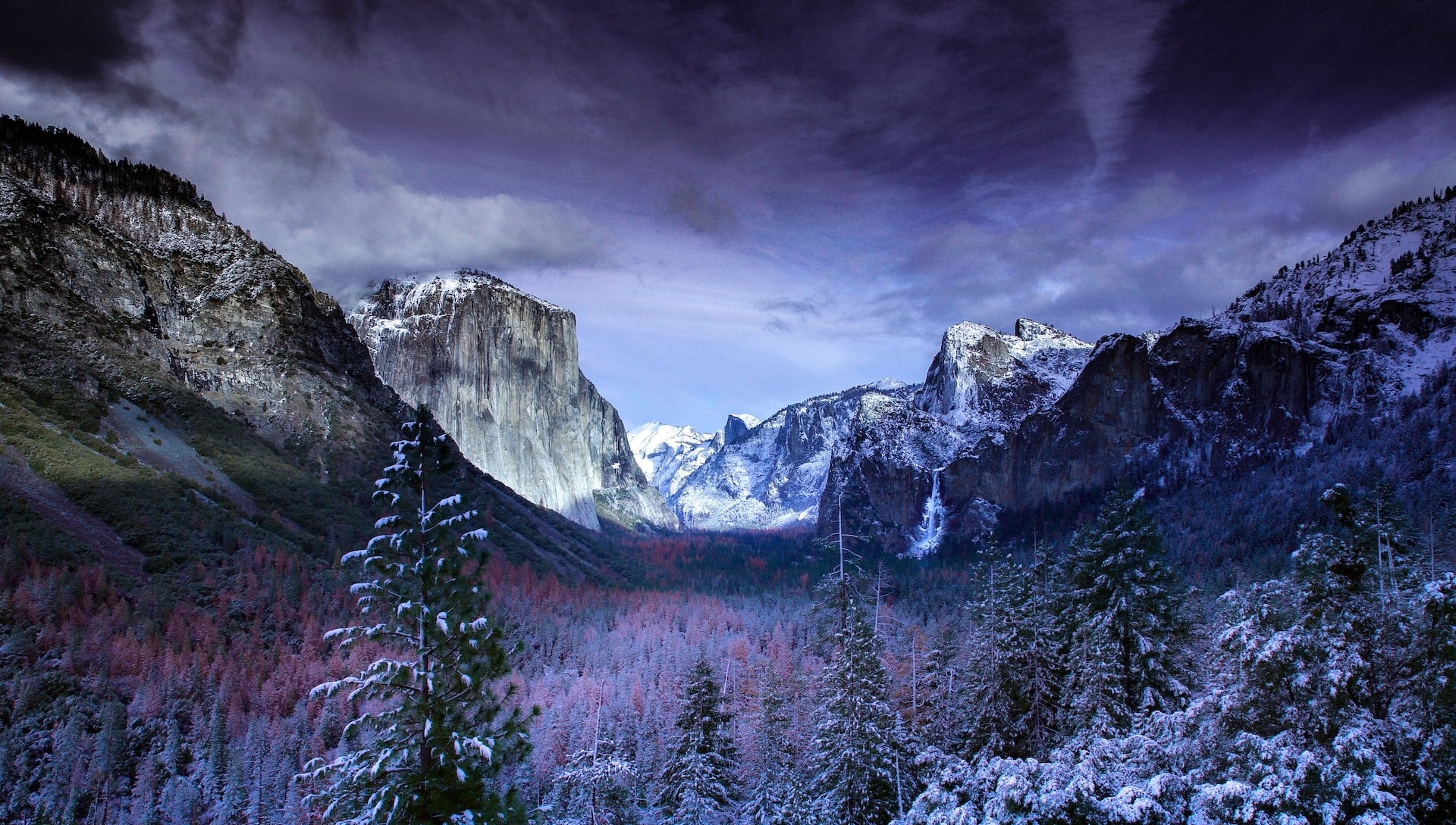 paysage de forêts et de montagnes en glaciers
