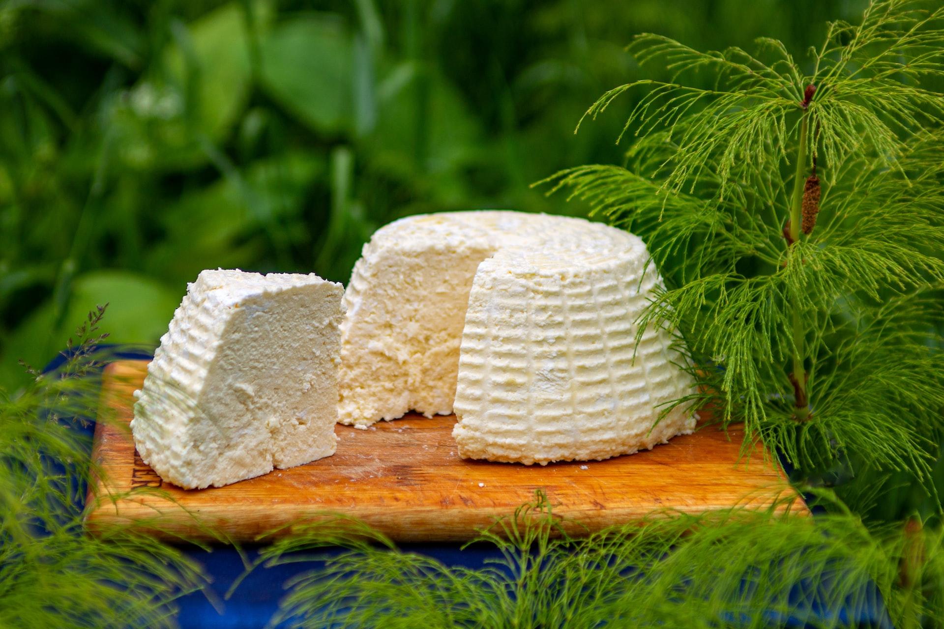 transformation du lait en fromage