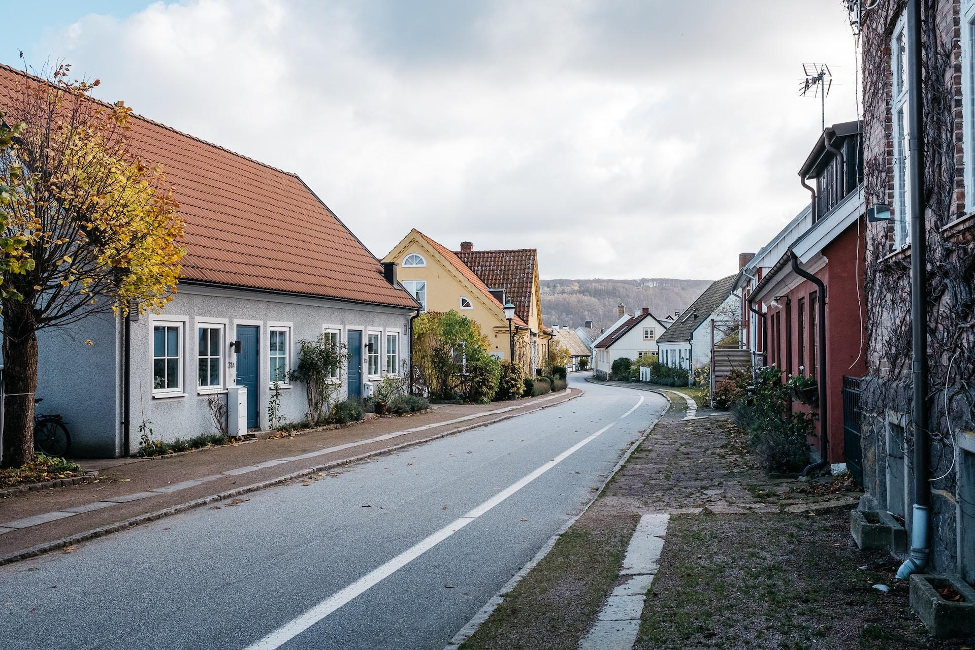 maisons en village avec forêt derrière