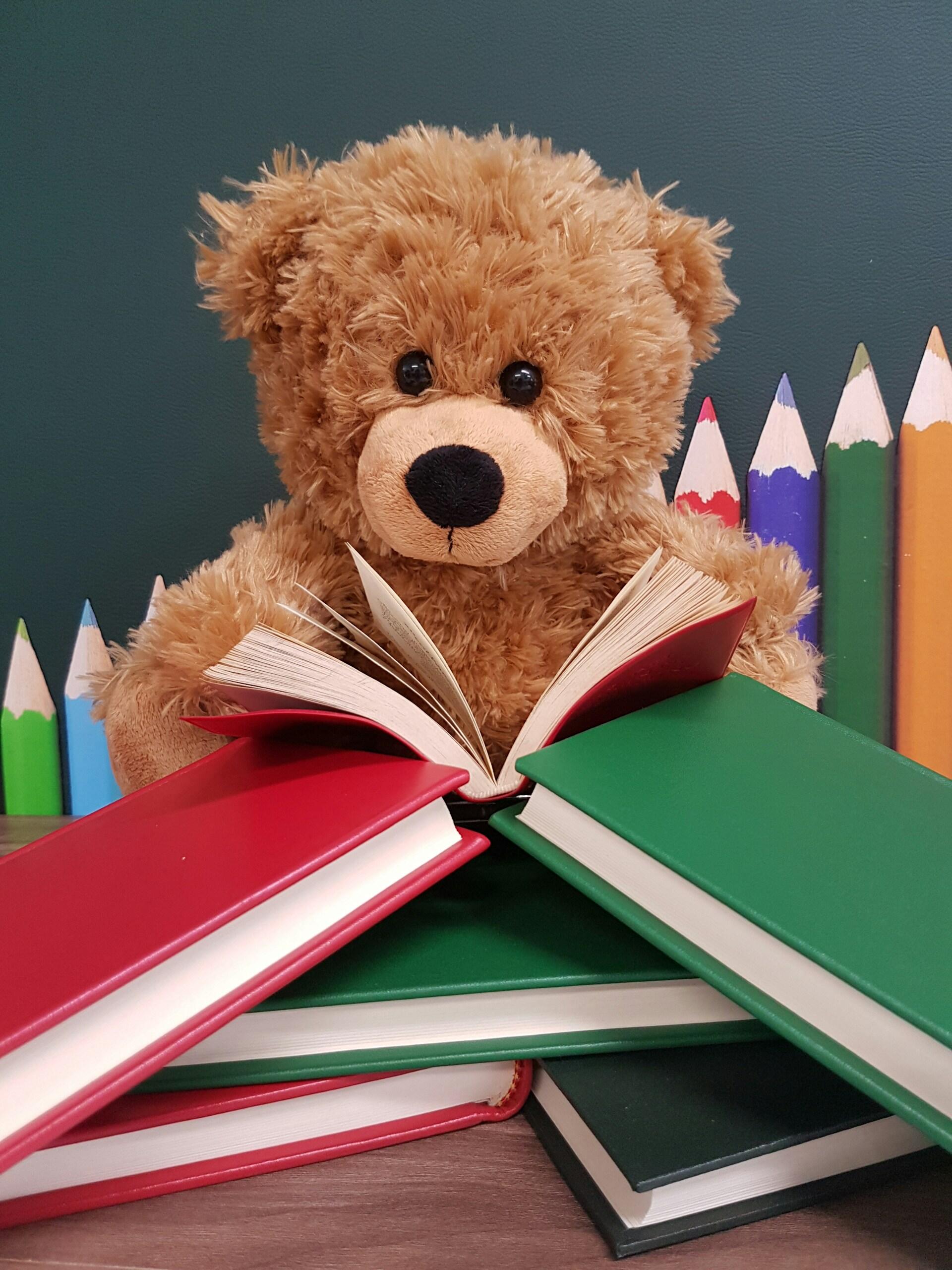 ourson livres