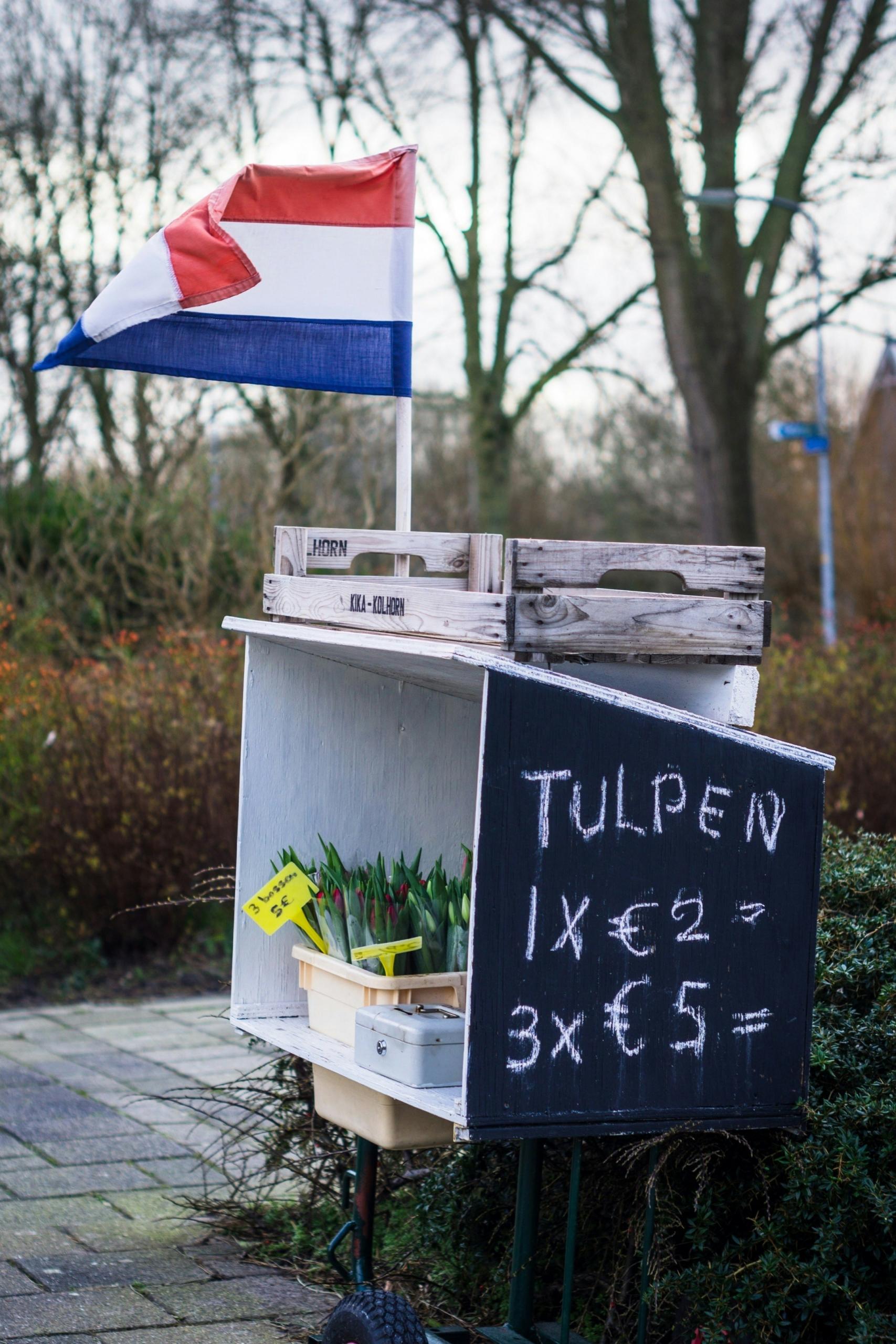 Un stand de tulipes avec un drapeau néerlandais.